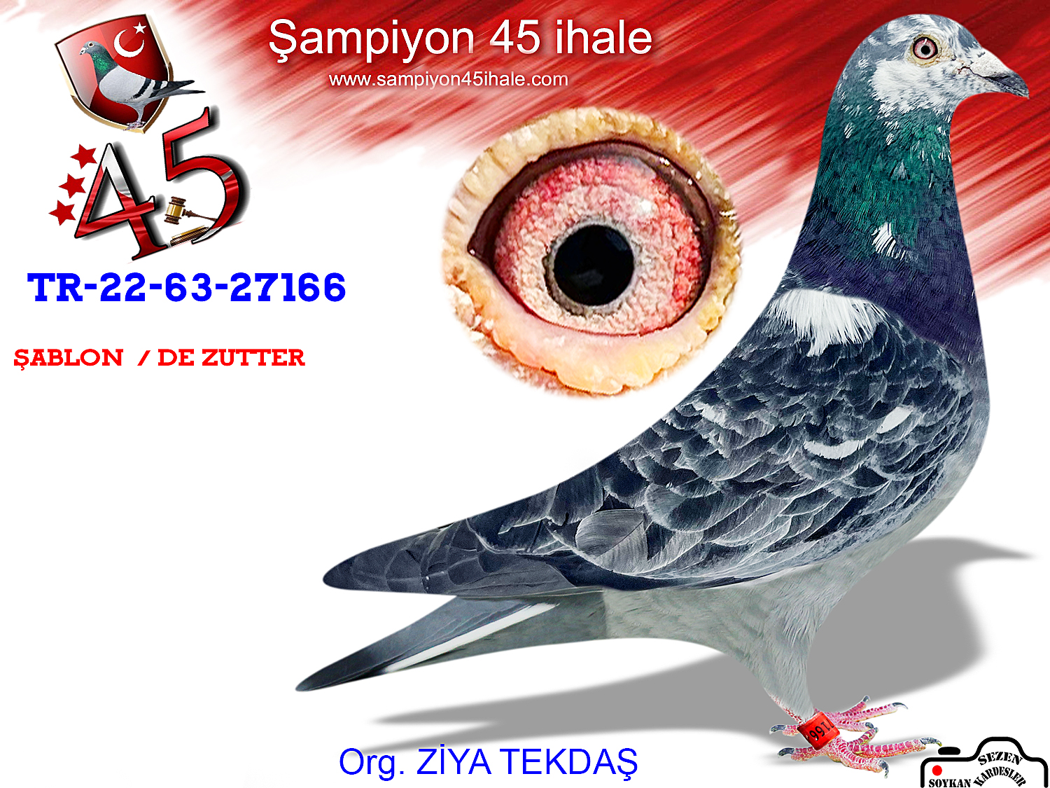 TR-22-63-27166 ERKEK