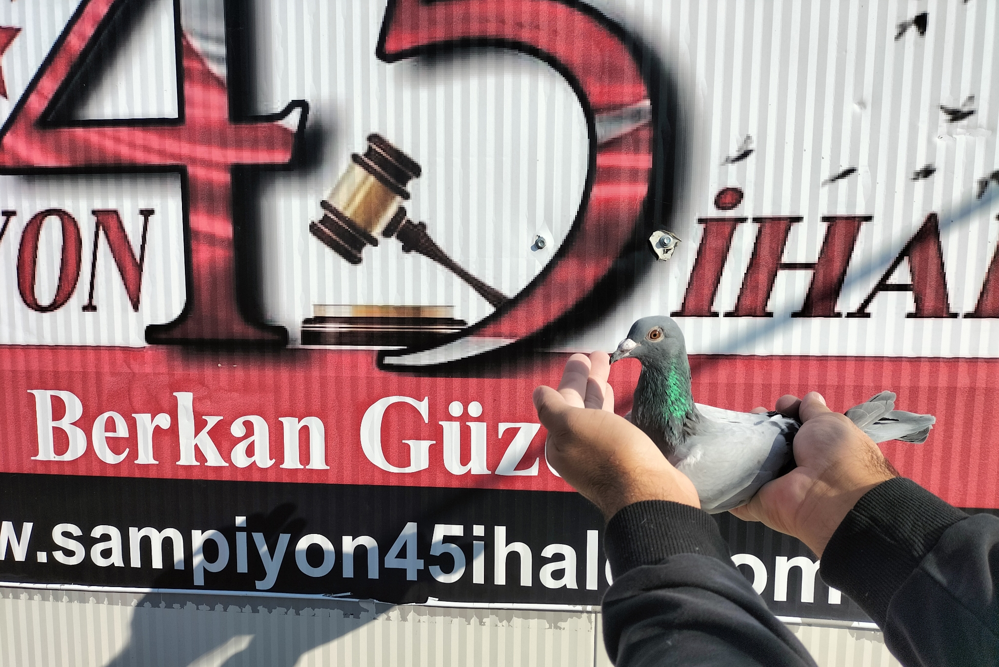 TR-25-34-19066 ORG PİGEON ACADEMEY 