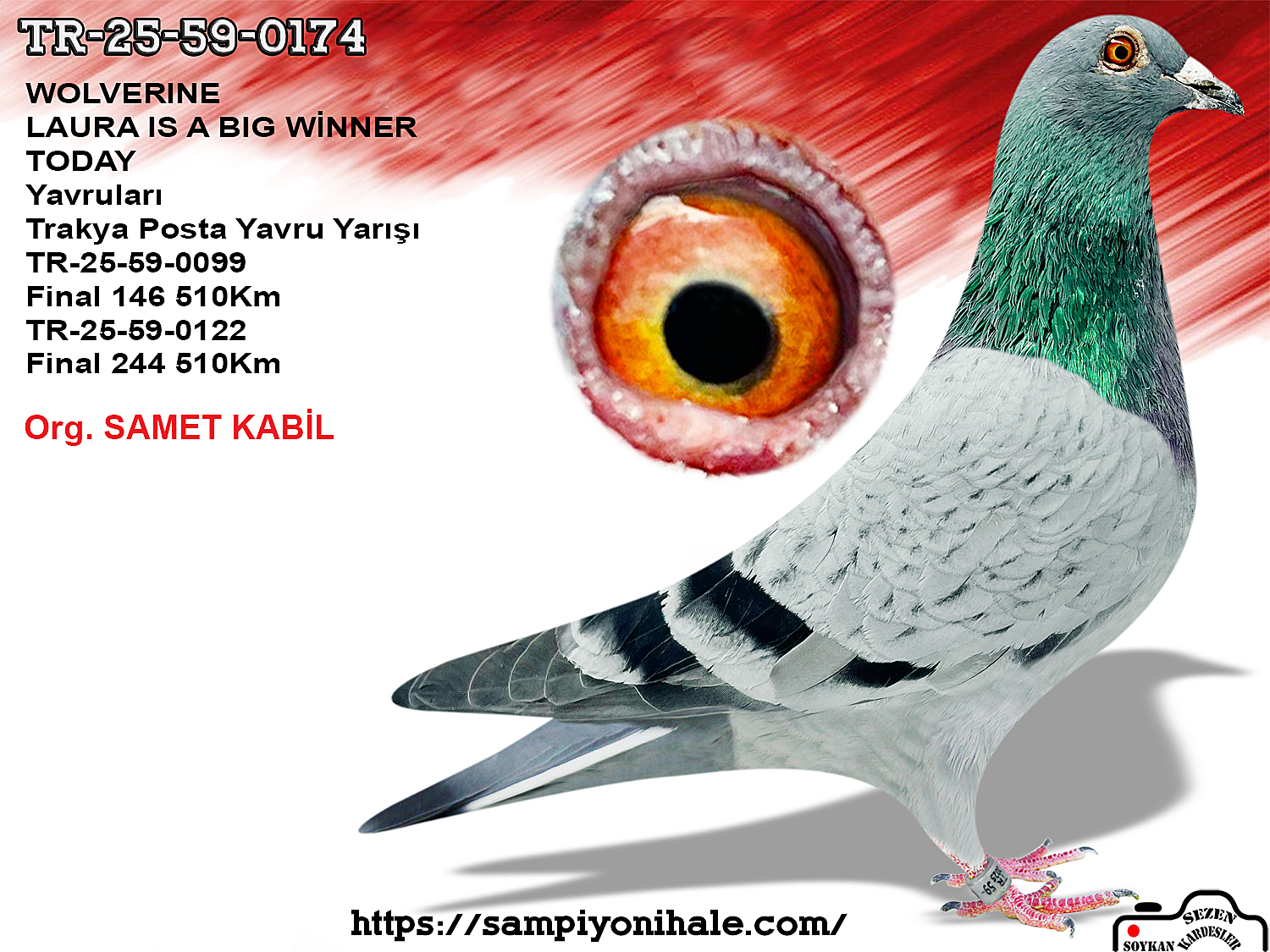 TR-25-59-0174 WOLVERİNE MIKE GANUS 