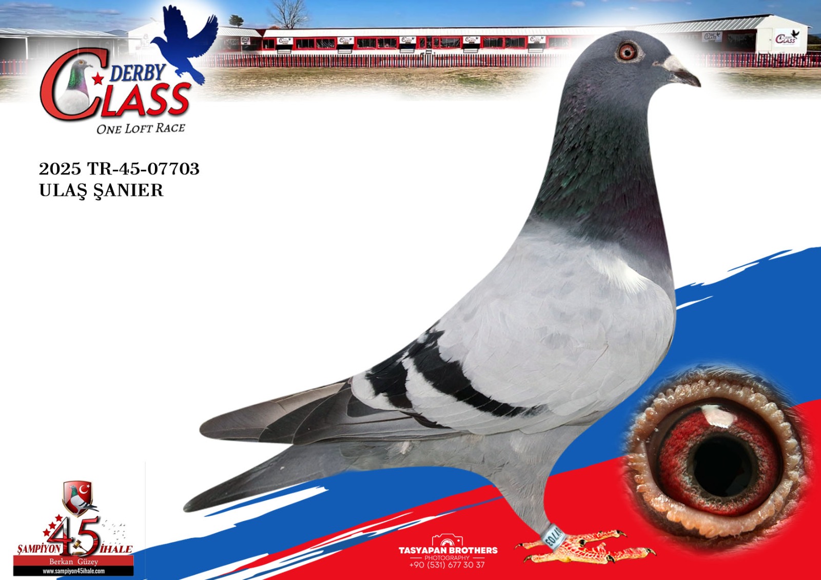 TR-45-07703 ULAŞ ŞANIER