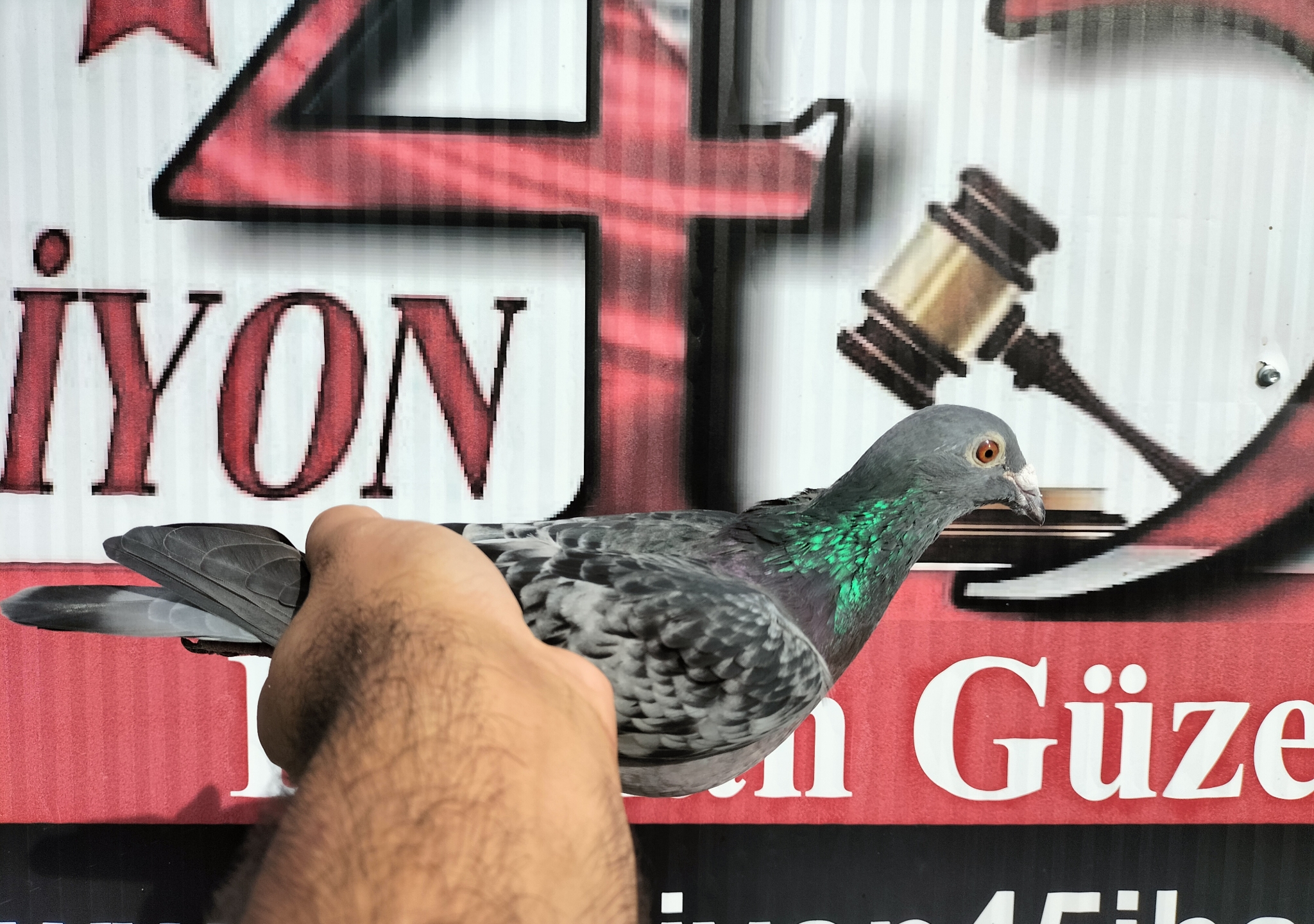 RO-17-9664 SG ALTMİKS SOUDY SORA 1.BFP 16