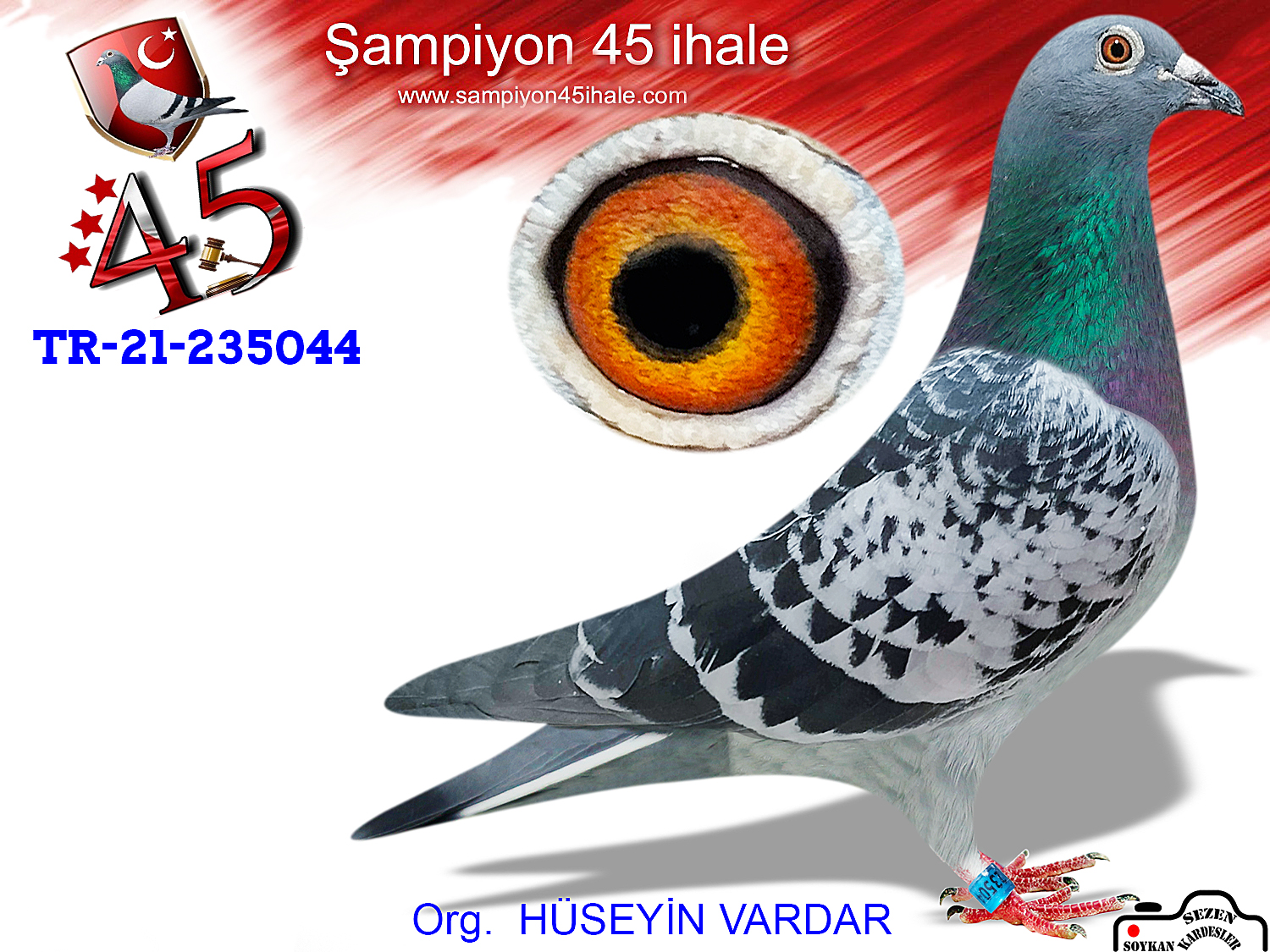 TR-21-235044 ERKEK 