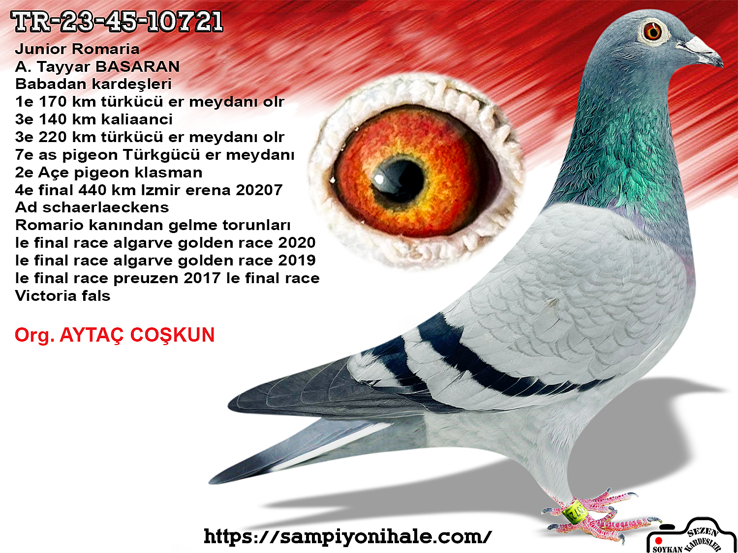 TR-23-45-10721 ROMARİO 050 HARDY KRÜGER 
