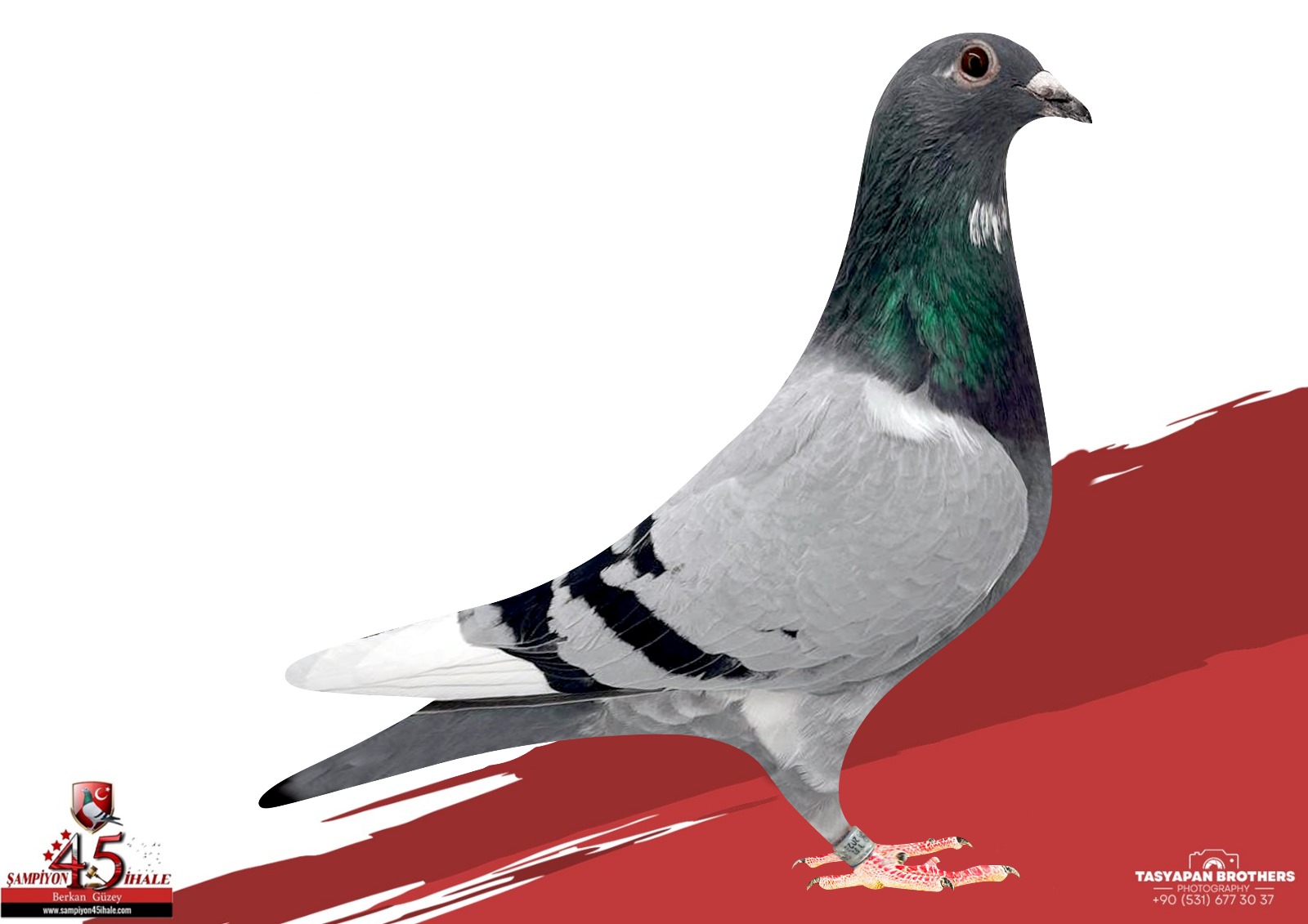 TR25-39-3360 GÜVEN BAKIŞLI KOOPMAN MERVE 