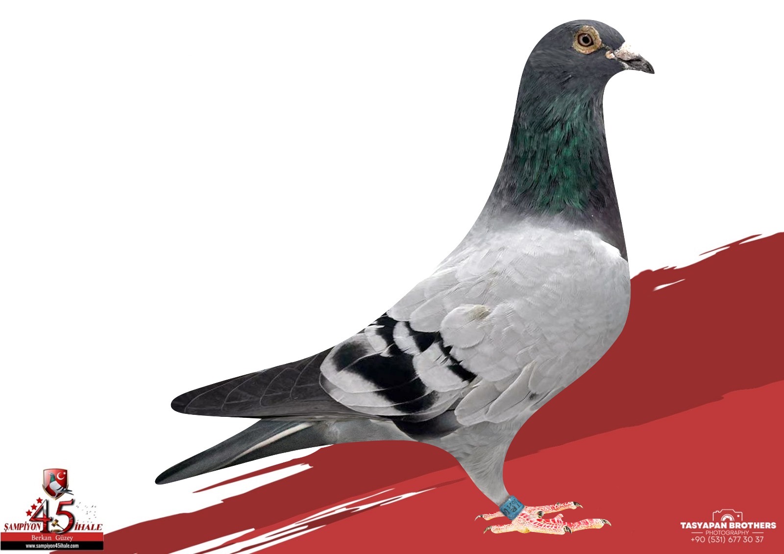 TR-21-040169 ORG BAYRAM YANIK DANNY DE VOOGD