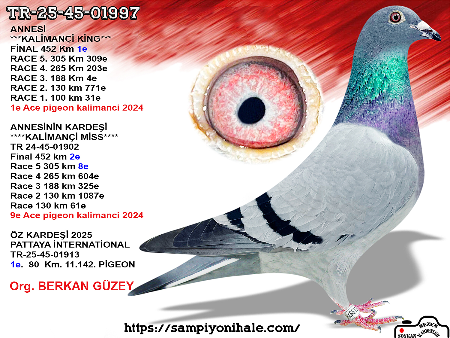 TR-25-45-01997 ANNESİ KALİMANÇİ KİNG 