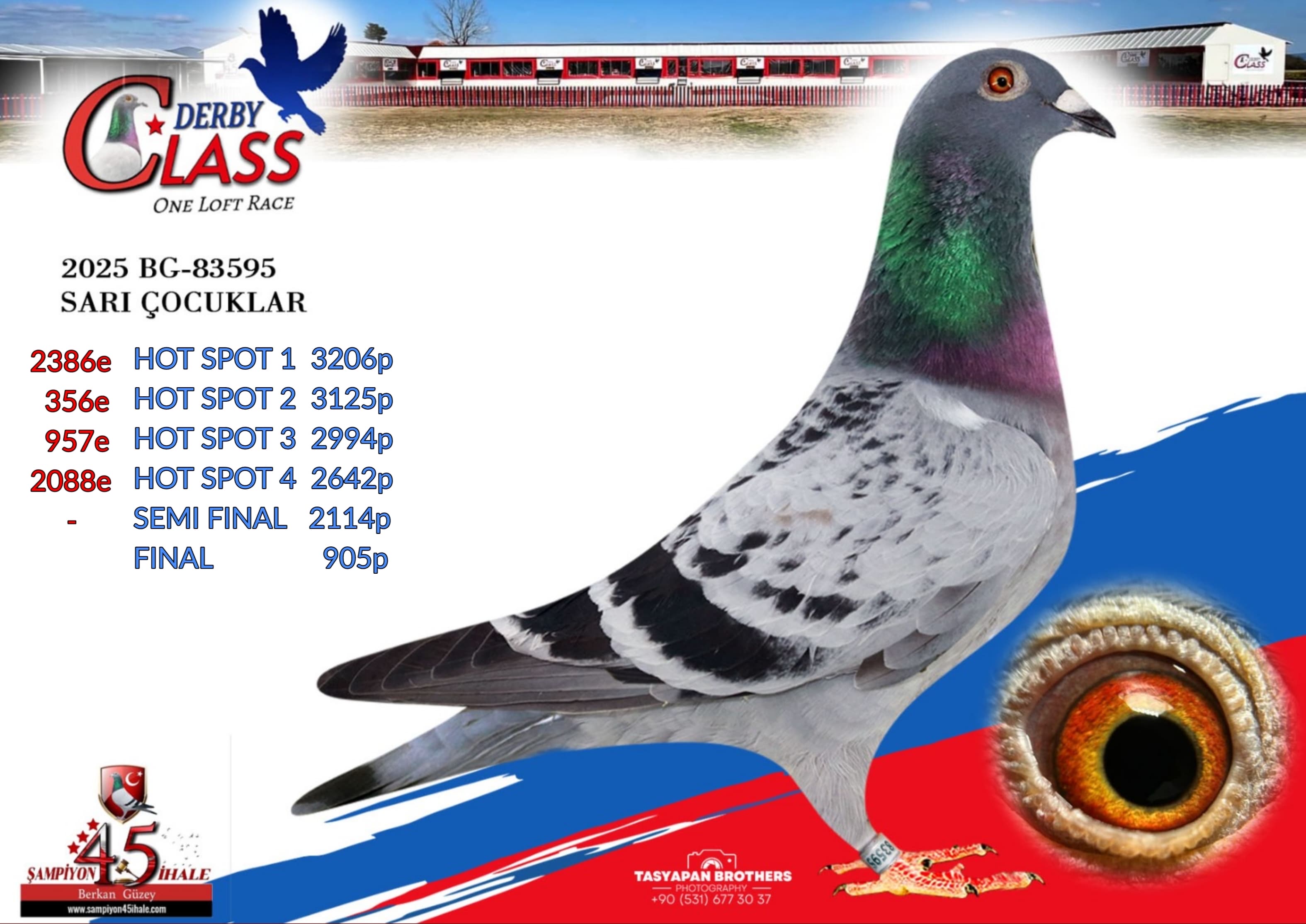 BG-83595 SARI ÇOCUKLAR