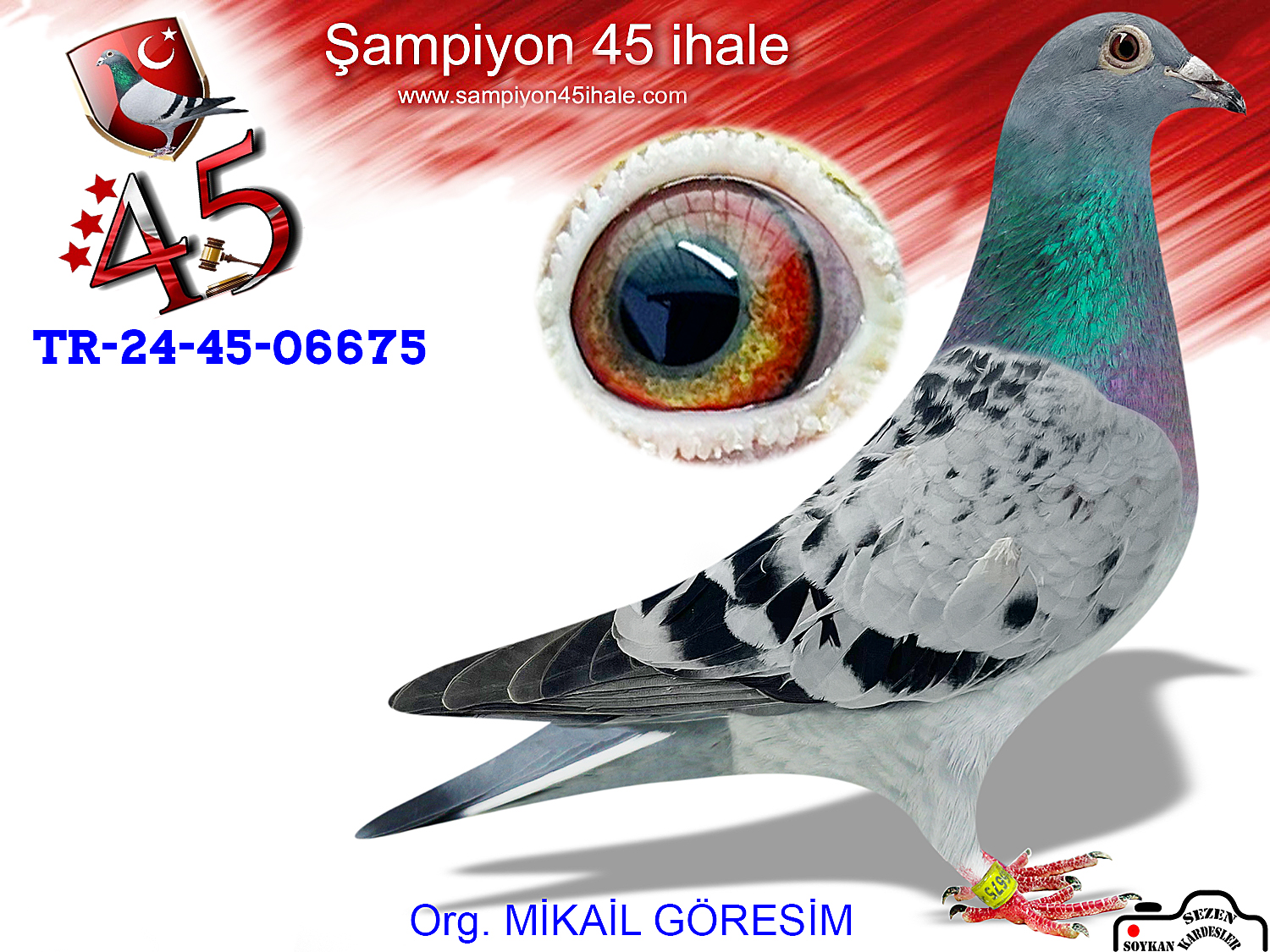 TR-24-45-06675 DİŞİ