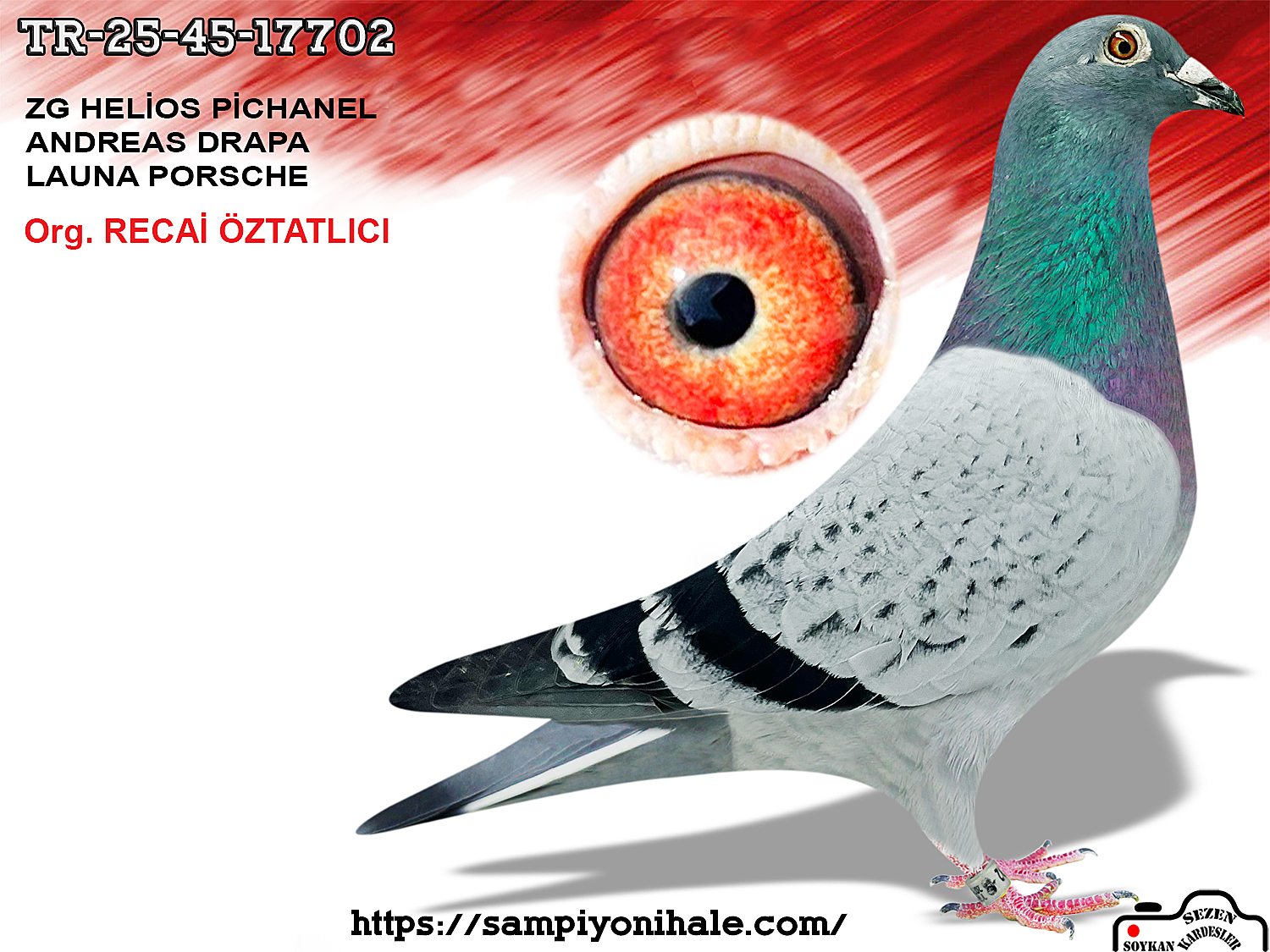 TR-25-45-17702 ZG HELİOS PİCHANEL PORSCHE 