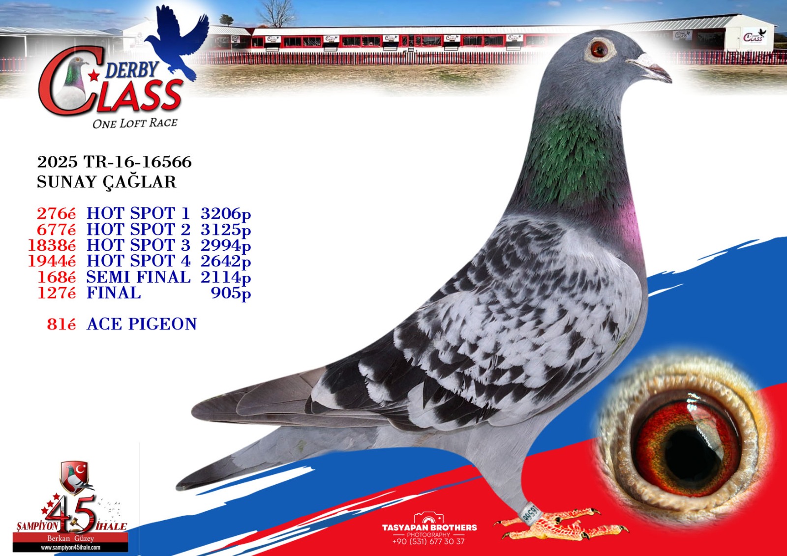 TR-16-16566 SUNAY ÇAĞLAR