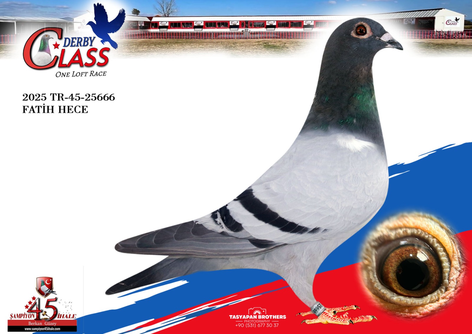 TR-45-25666 FATİH HECE