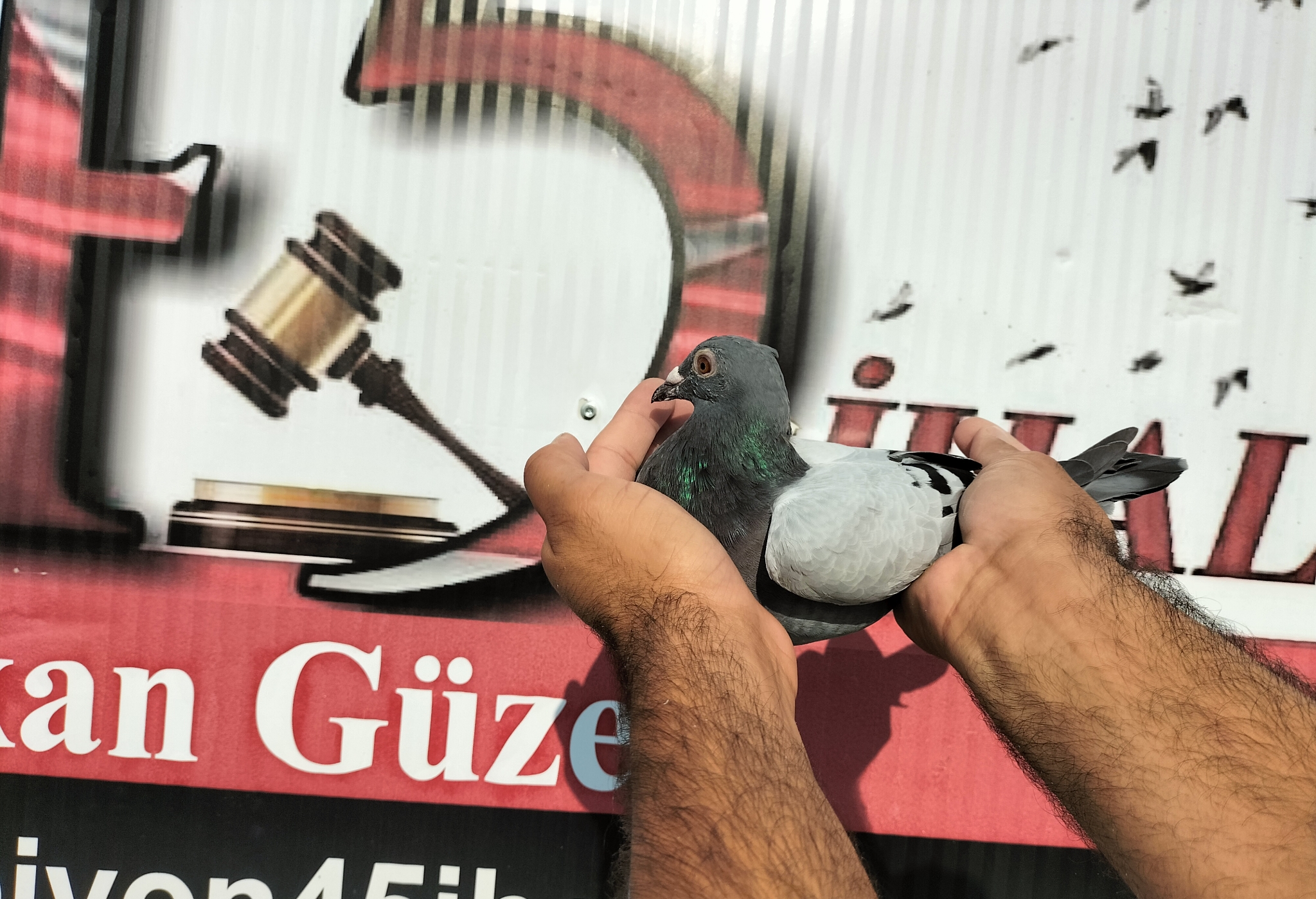 TR-10-04076 NECMİ ÇAKAR 