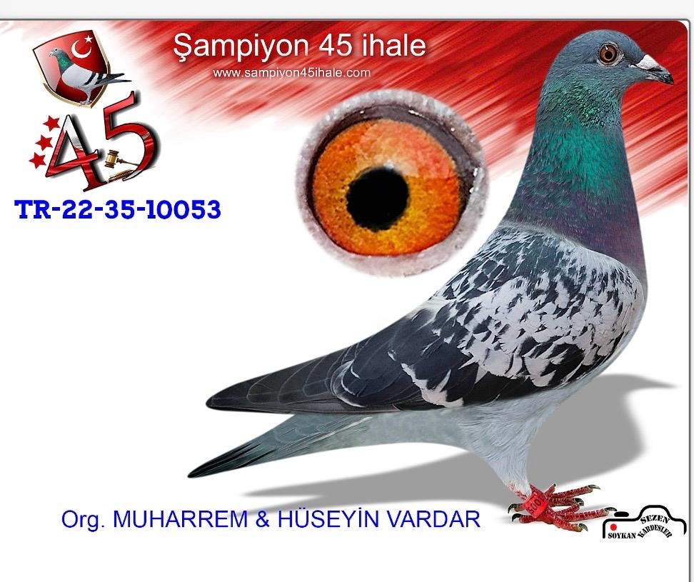 TR-22-35-10053 VARDAR KARDEŞLER MARATON DEVİ 