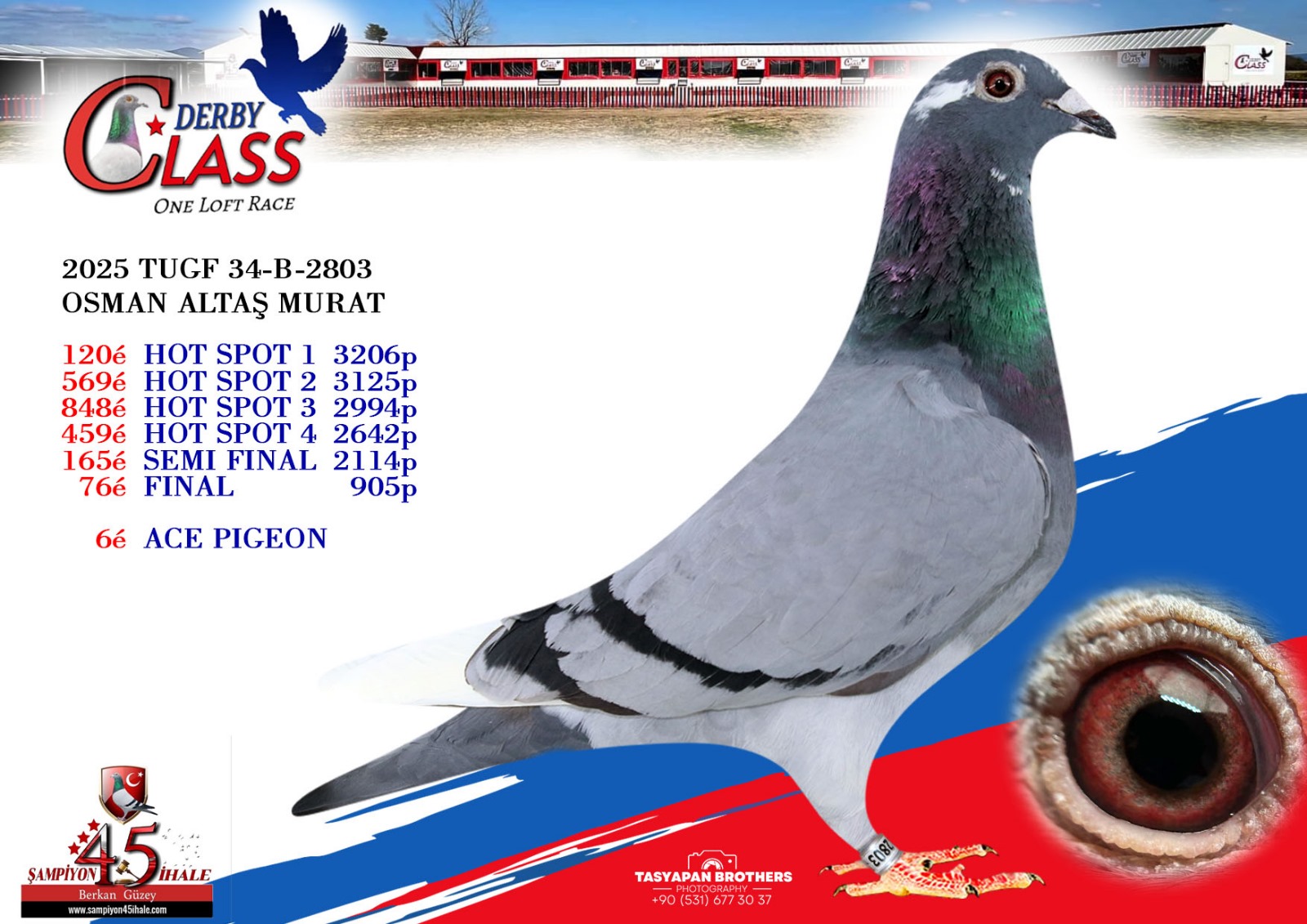 TUGF-34-B-2803 OSMAN ALTAŞ MURAT