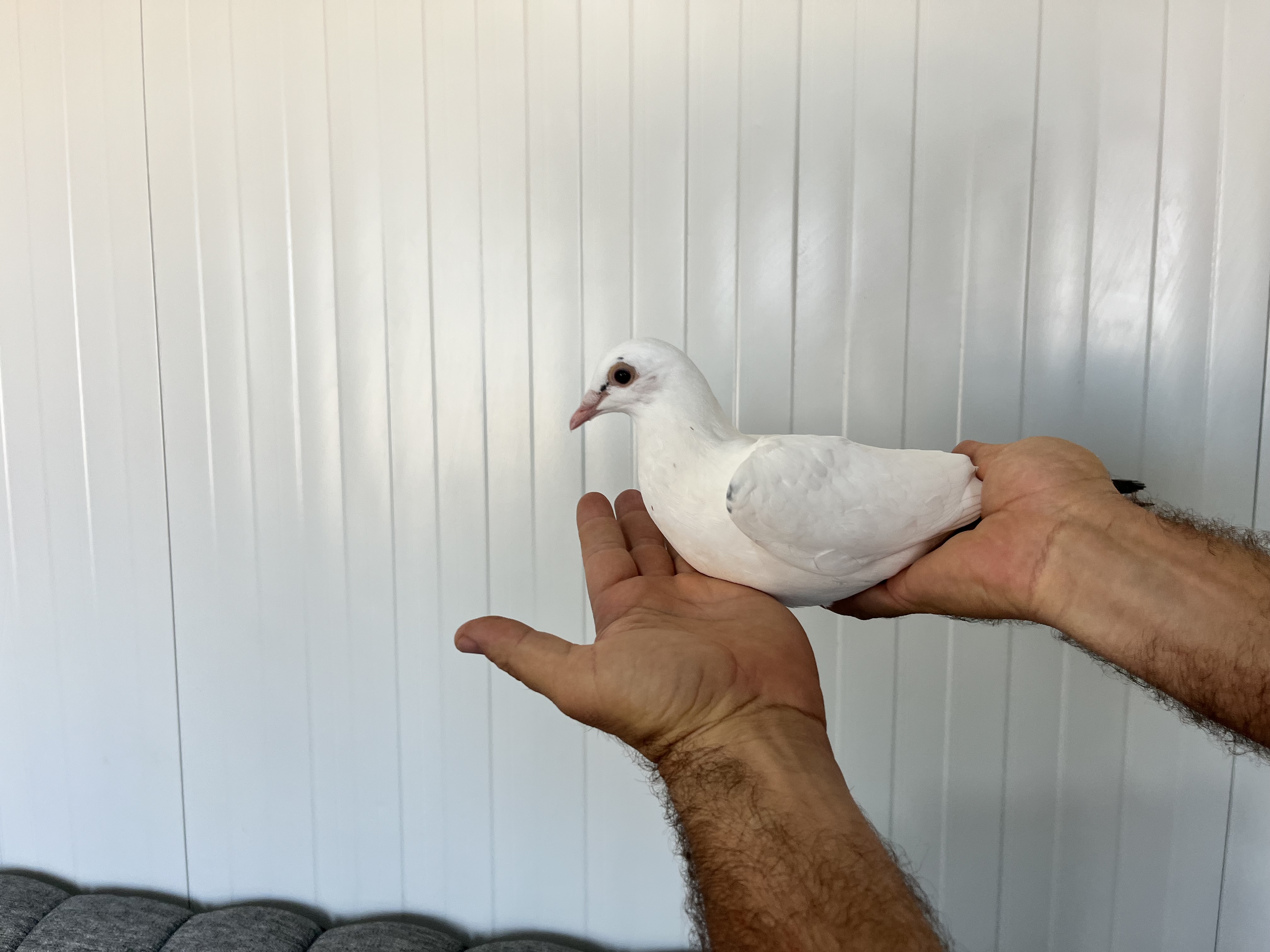 TR-25-16-20490 ERKEK 