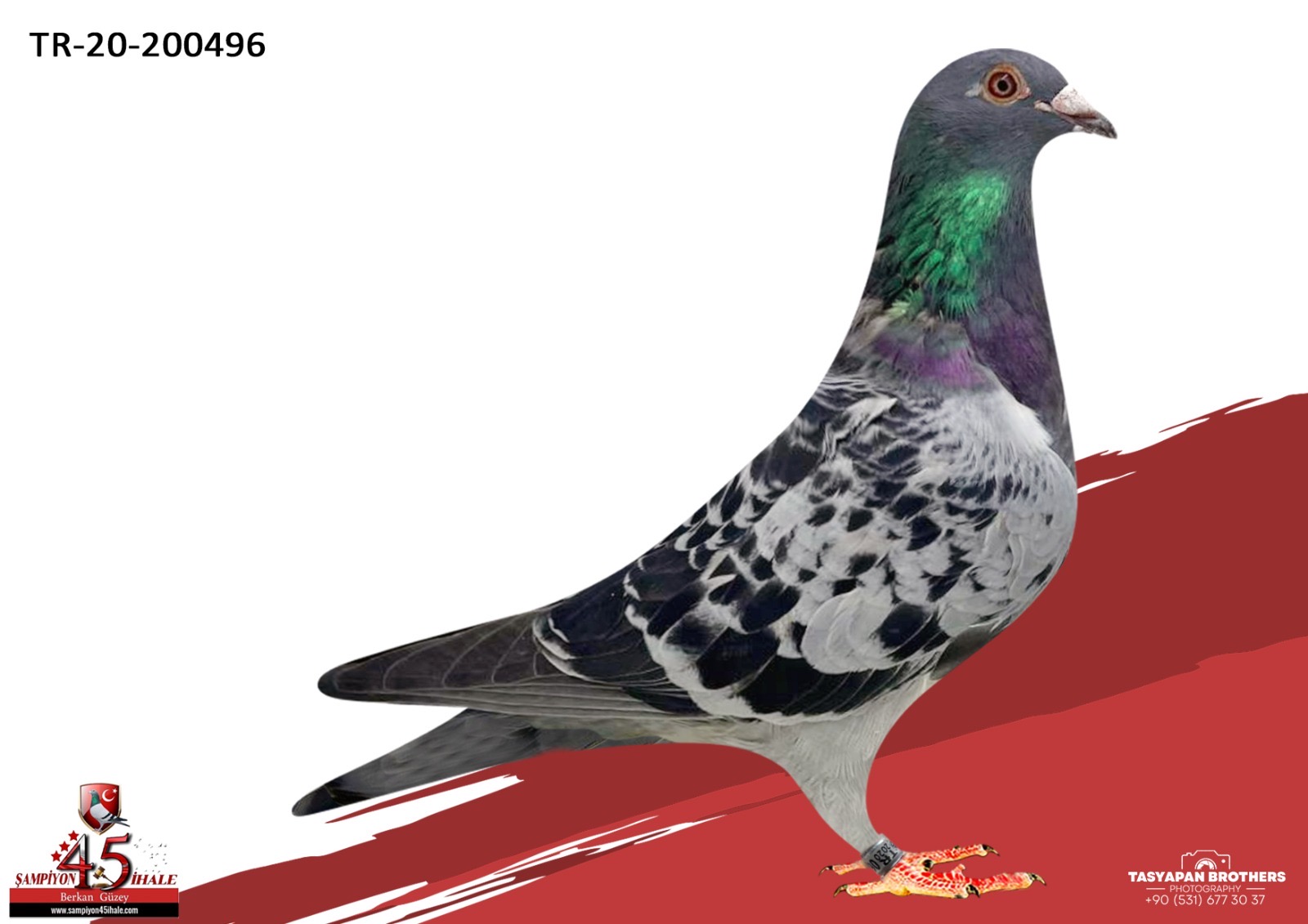 TR-20-200496 ARİE DİJKSTRA HARDY KRÜGER