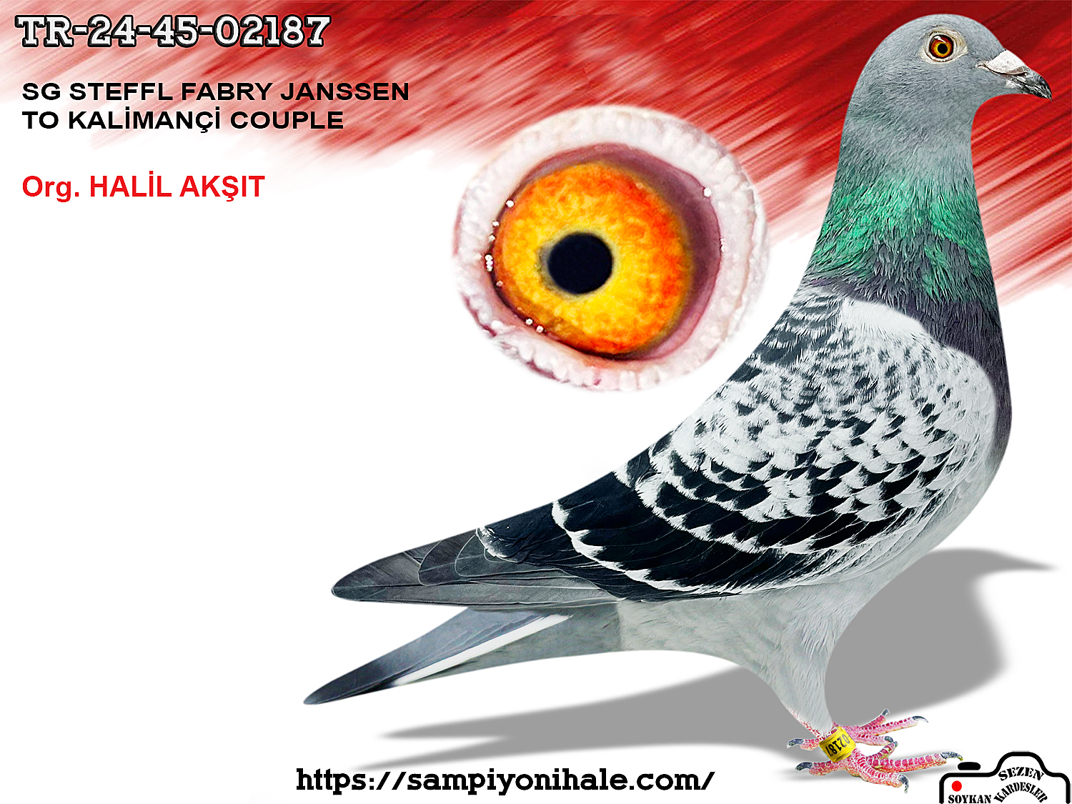 TR-24-45-02187 SG STEFFL FABRY JANSSEN 