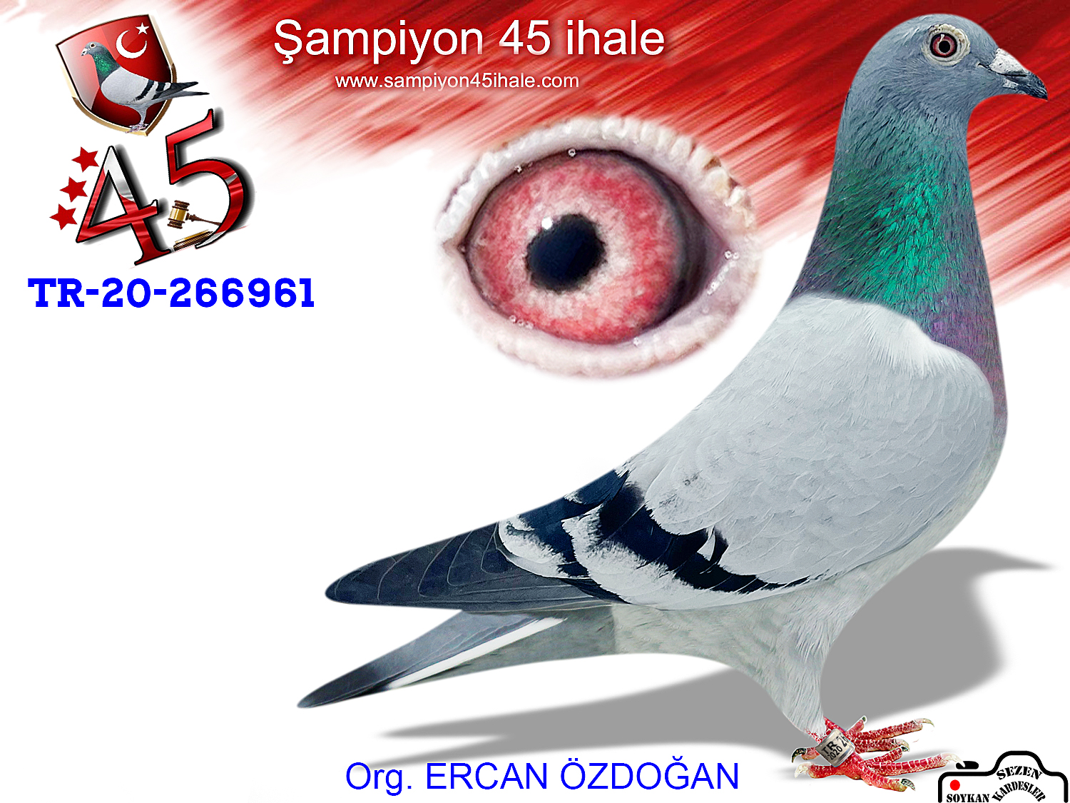 TR-20-266961 DİŞİ