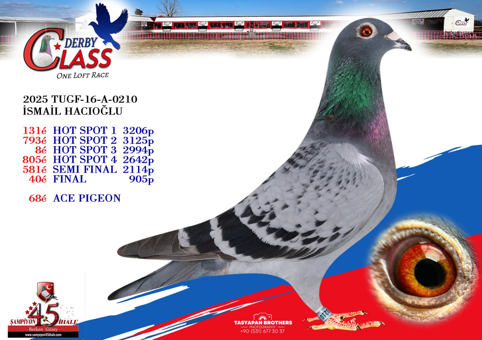 TUGF-16-A-0210 FİNAL 40 ACE PİGEON 68 İSMAİL HACIOĞLU