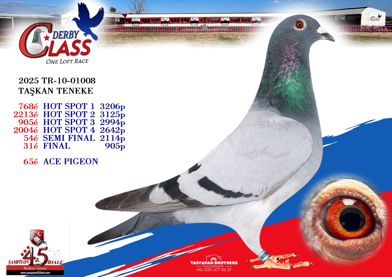 TR-10-01008 FİNAL 31 ACE PİGEON 65 TAŞKAN TENEKE