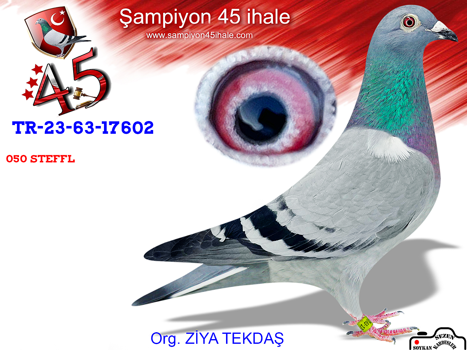 TR-23-63-17602 DİŞİ