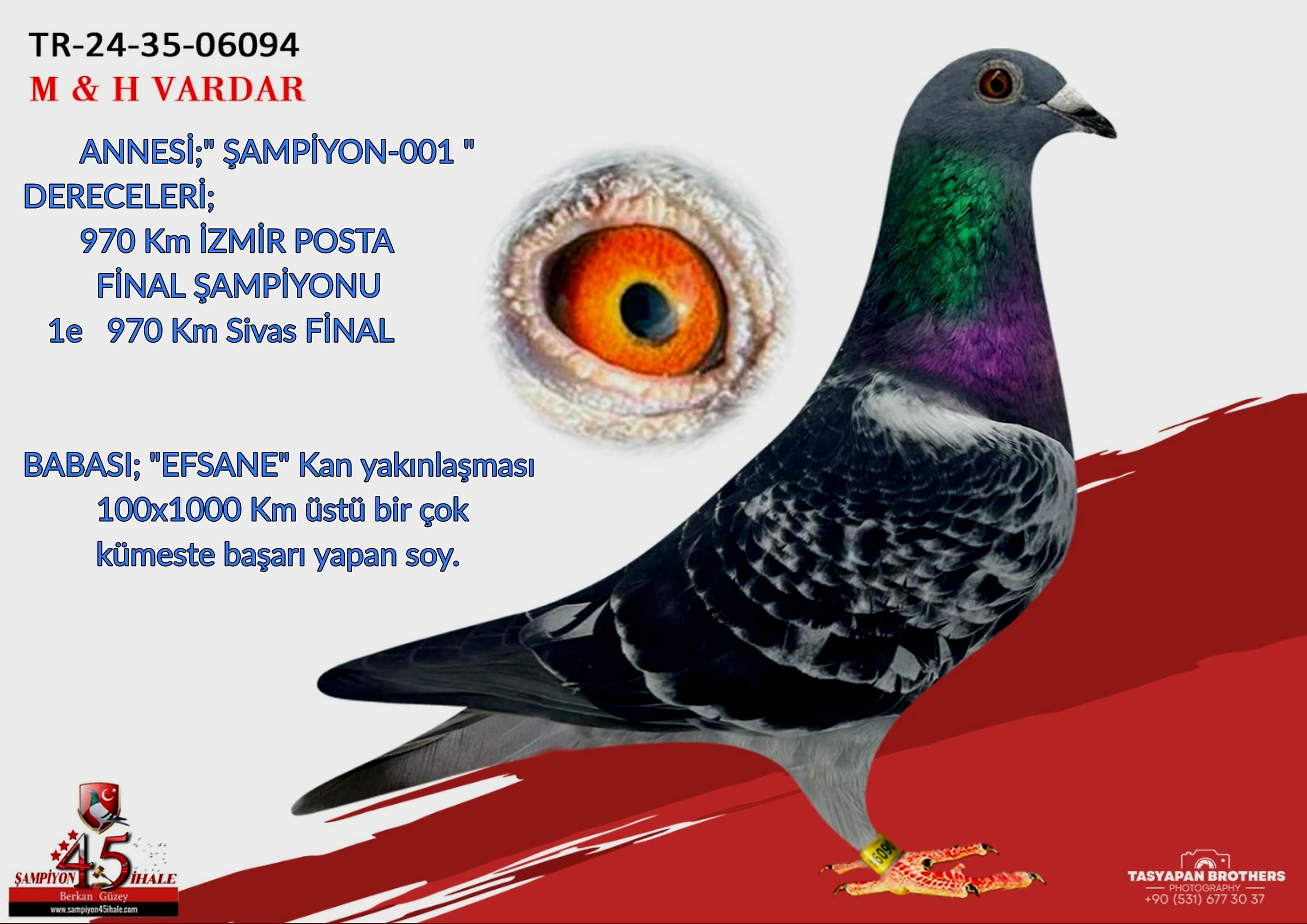 TR-24-35-06094 M & H VARDAR KARDEŞLER 