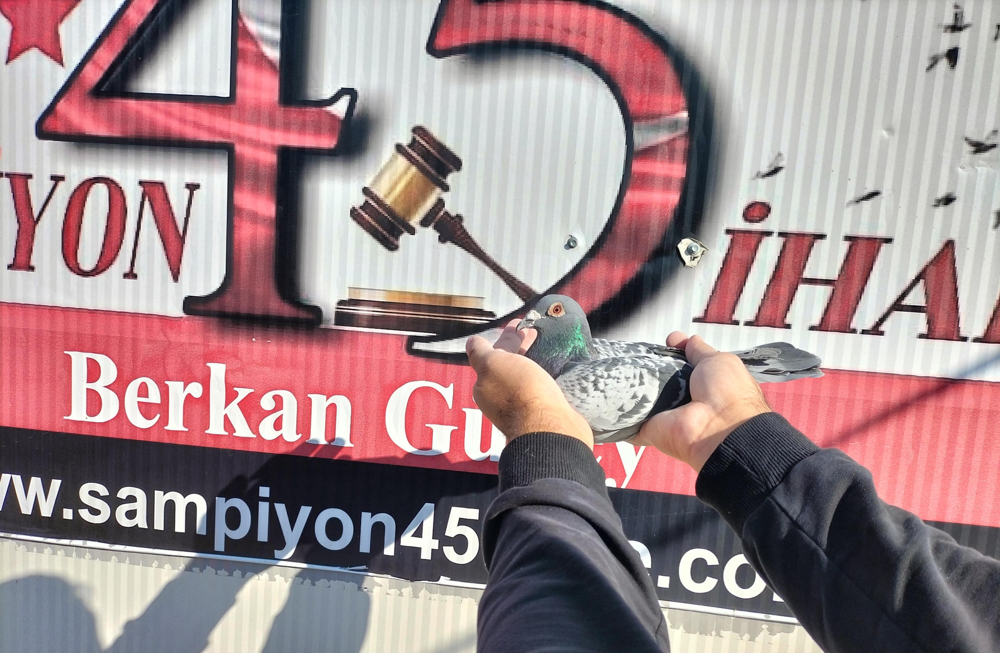 TR-20-017113 ORG MUHAMMED ALİ AKTAŞ 