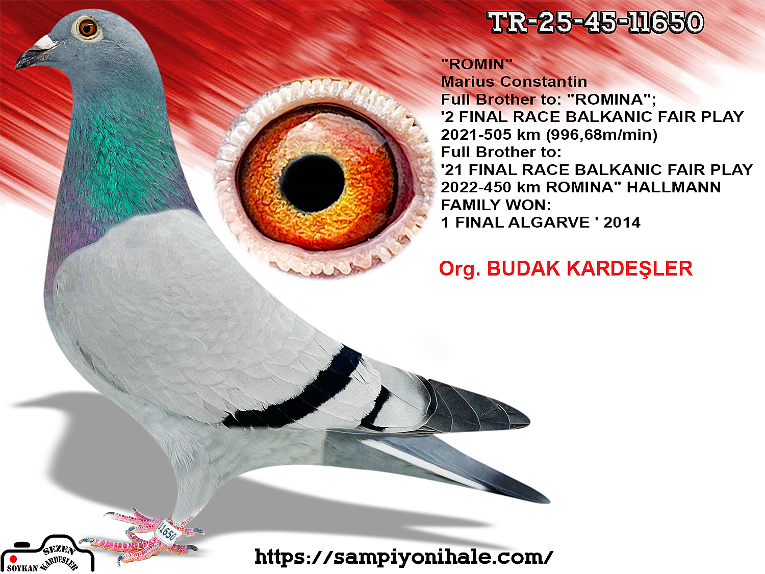 TR-25-45-11650 ORNAT ROMARİO 410 SORIN DUDU