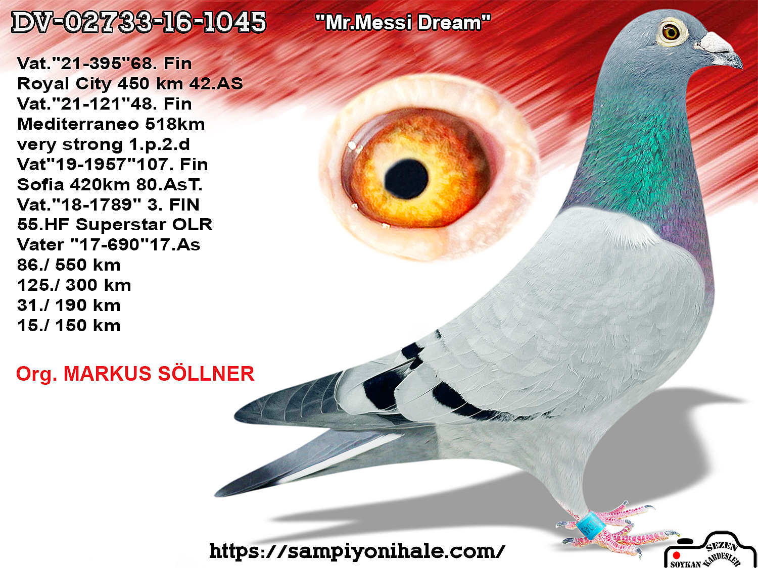 DV-02733-16-1045 MARKUS SÖLLNER 