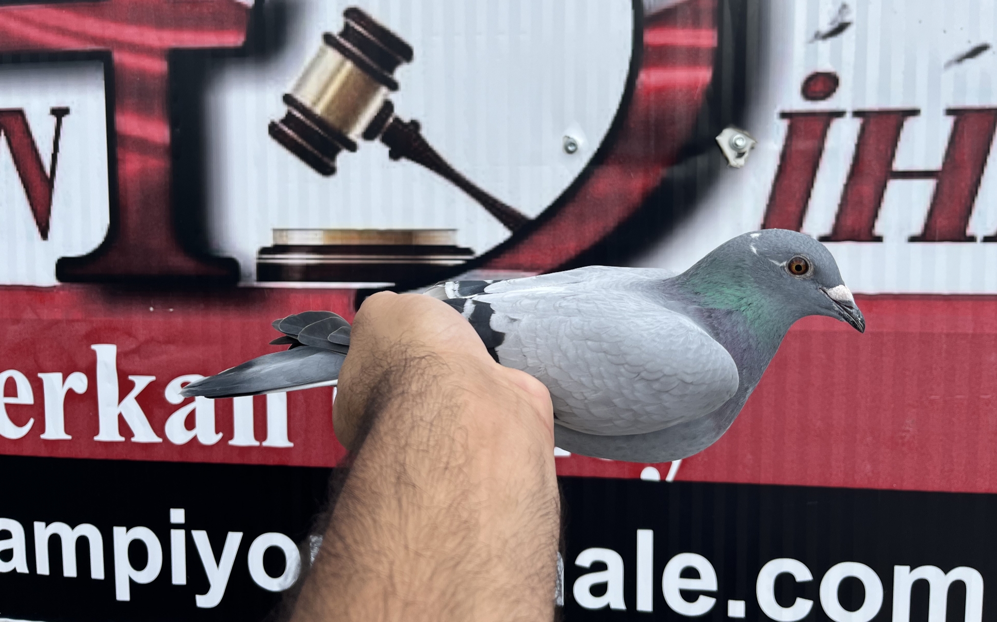 TR-25-16-20448 ORG SEZEN KARDEŞLER A.MEİ JBOOM % 100 