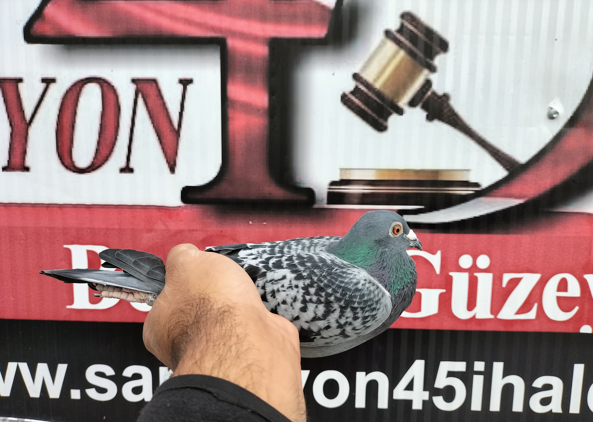 TR-25-45-15136 ORG YUSUF EGRİBOYUN 