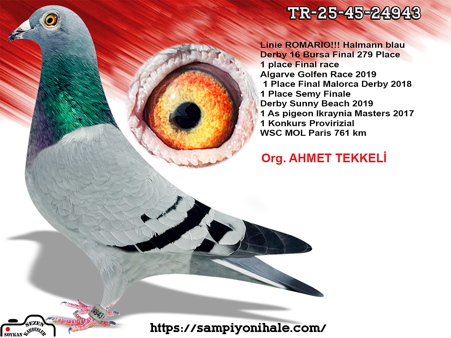 TR-25-45-24943 ORG AHMET TEKKELİ JÖRG HALLMANN ROMARİO 