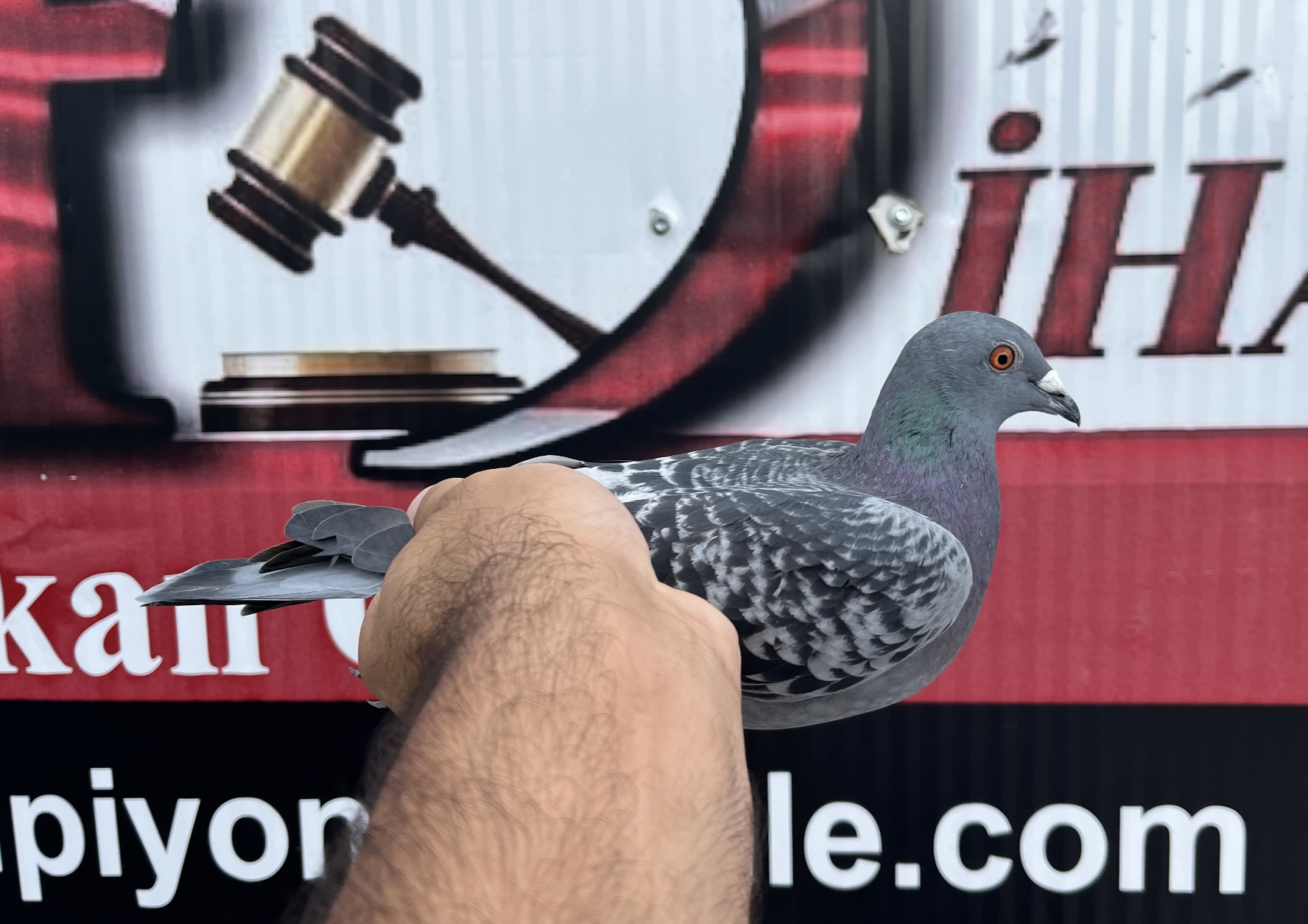 TR-25-16-20458 ORG SEZEN KARDEŞLER ELEKTRO BOY DİMİTAR TODOROV 