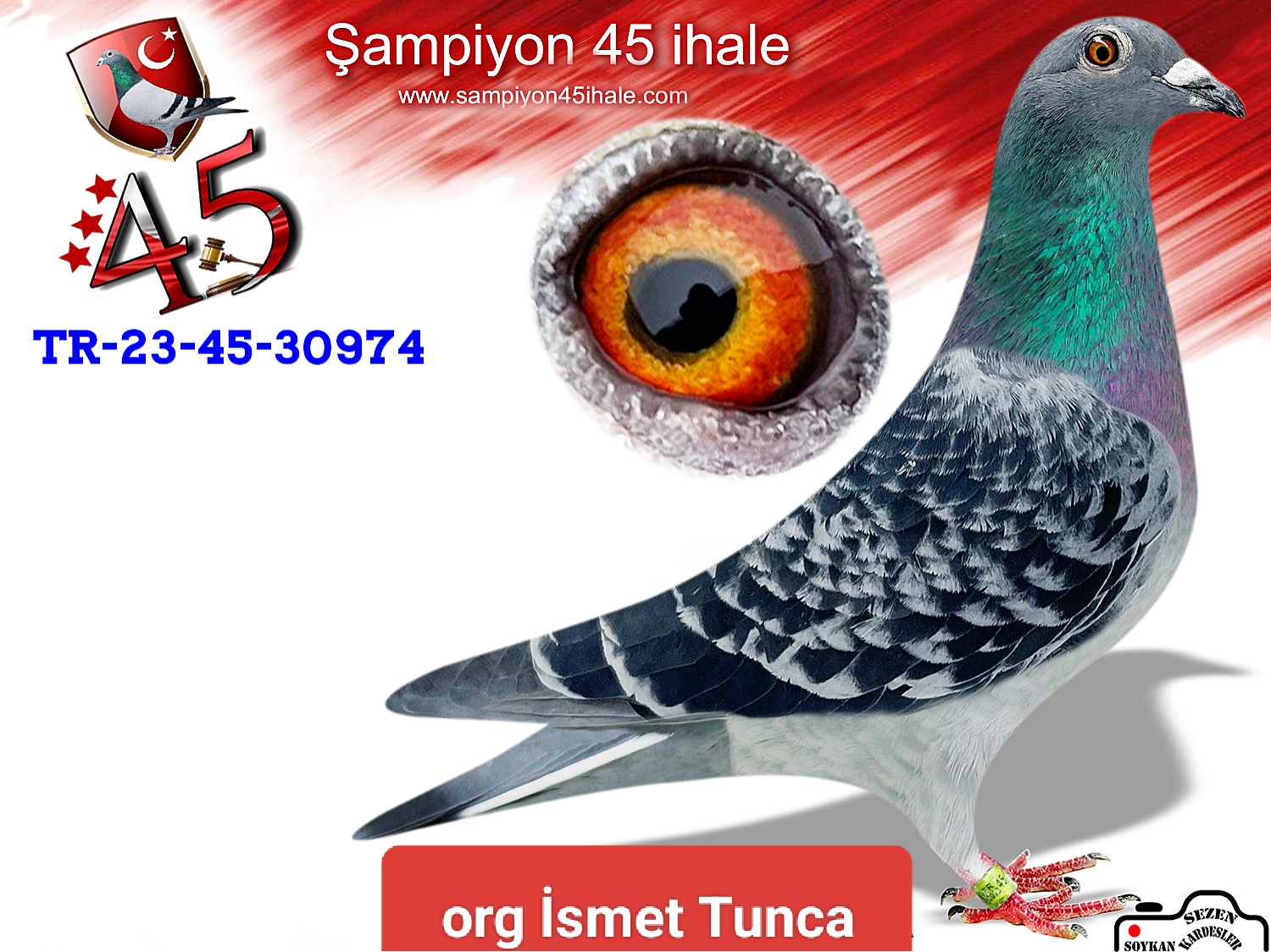 TR-23-45-30974 DİŞİ