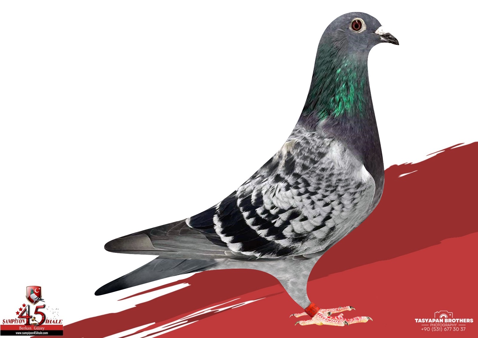 TR-22-45-25651 ORG MEHMET GÜRLEK BABASI CİGARATTE 