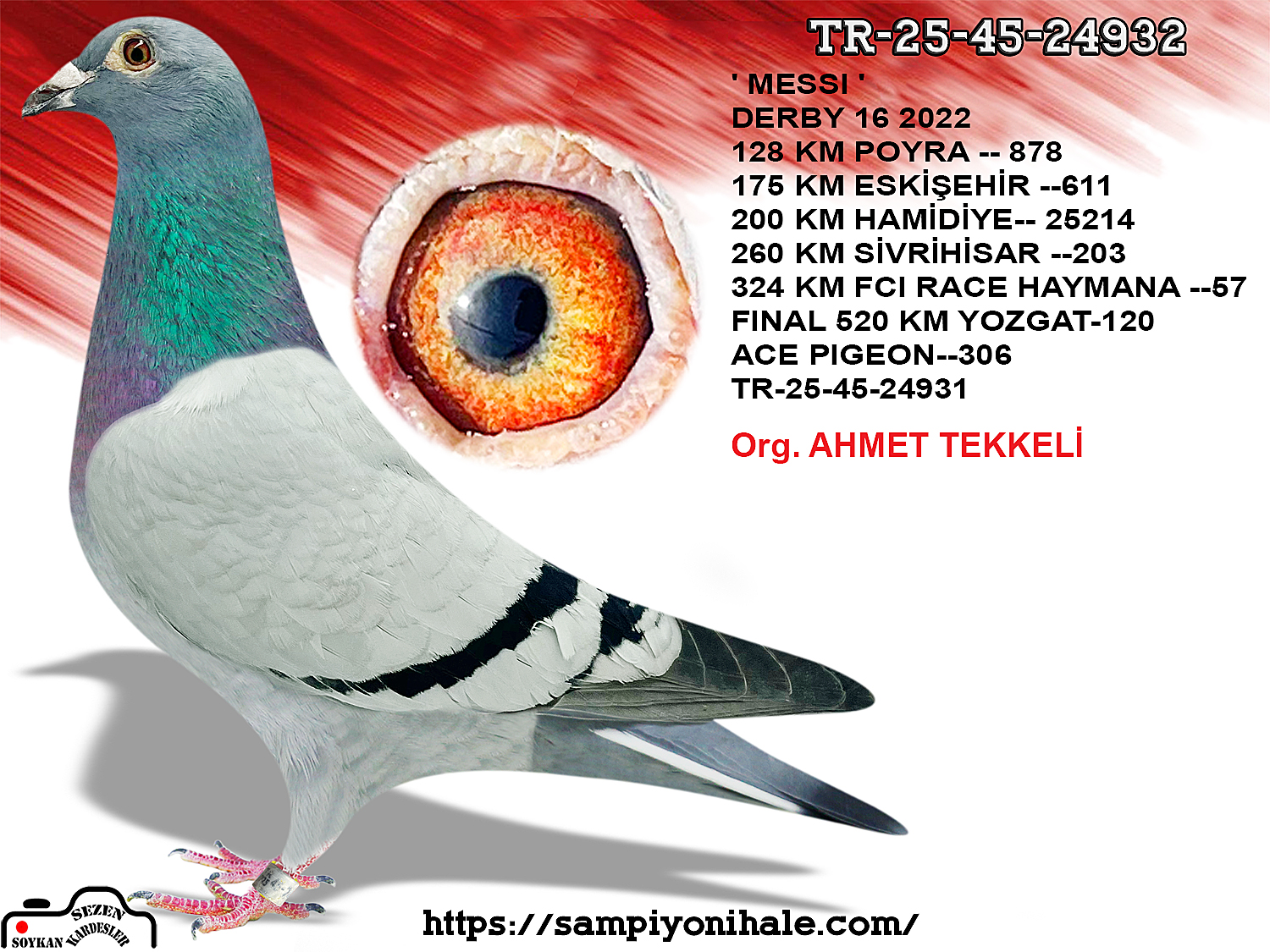 TR-25-45-24932 ORG AHMET TEKKELİ Z DENEK PAVLİK SG STEFFL 