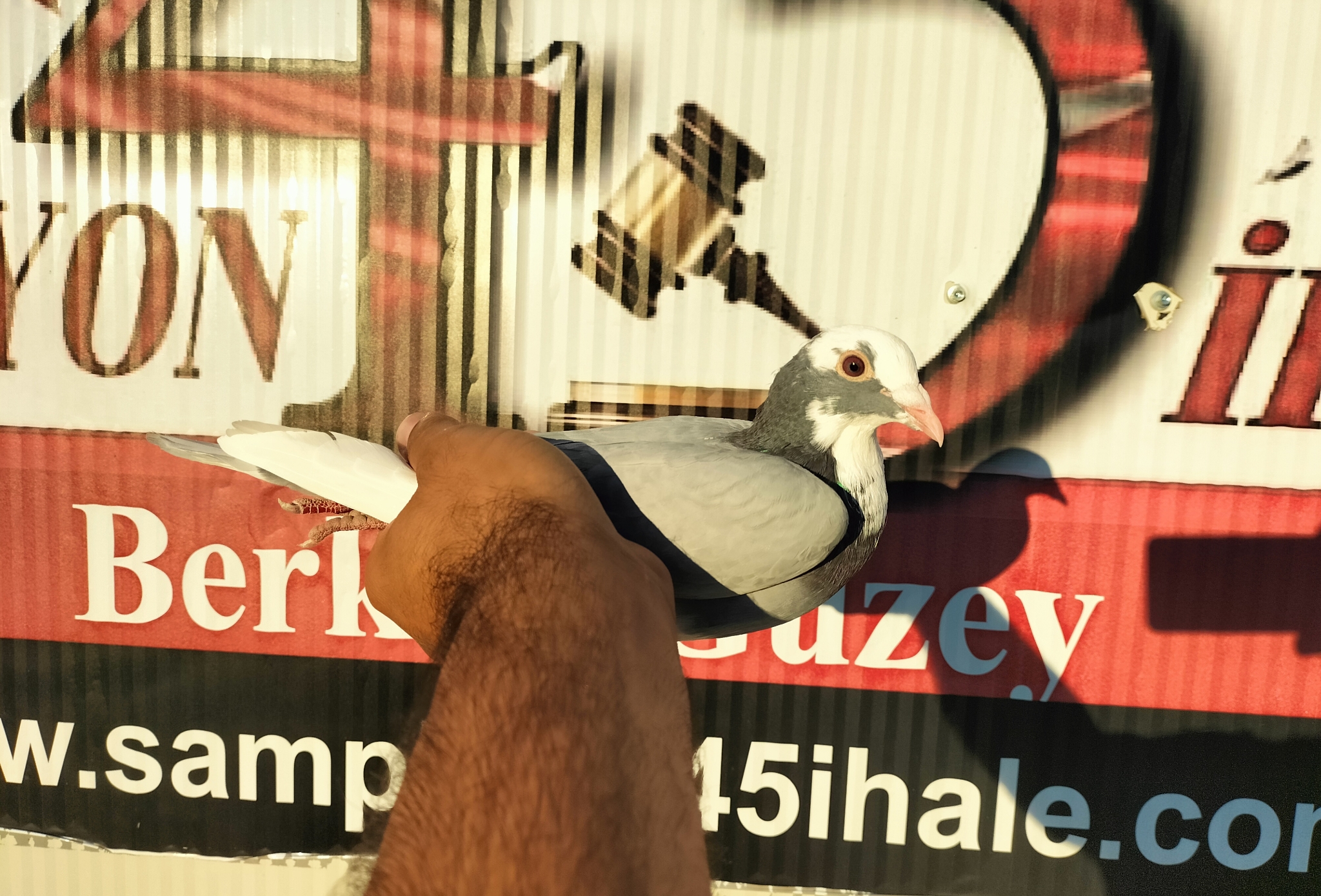 TR-25-10-04096 ORG NECMİ ÇAKAR 