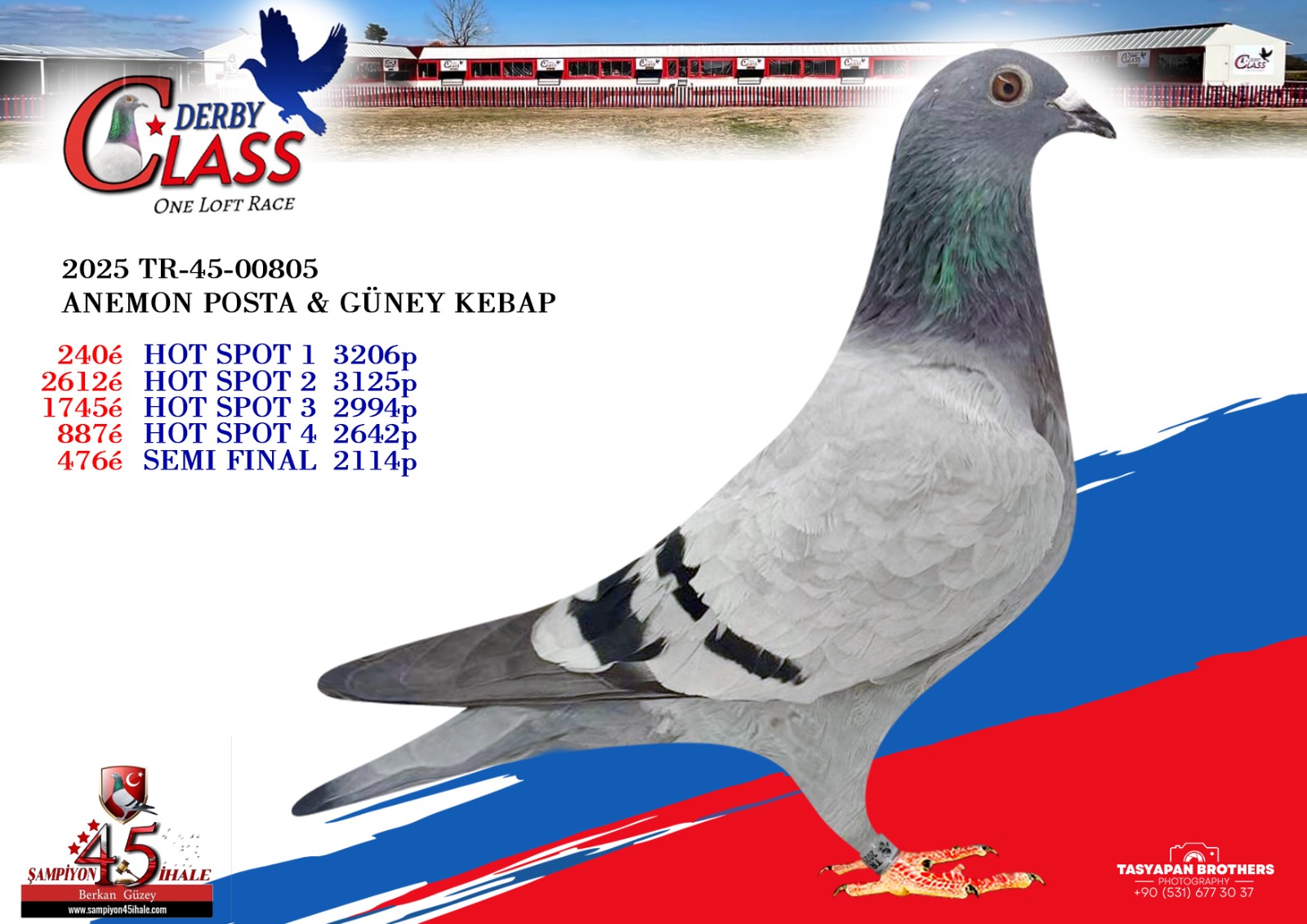 TR-45-00805 ANEMON POSTA GÜNEY KEBAP