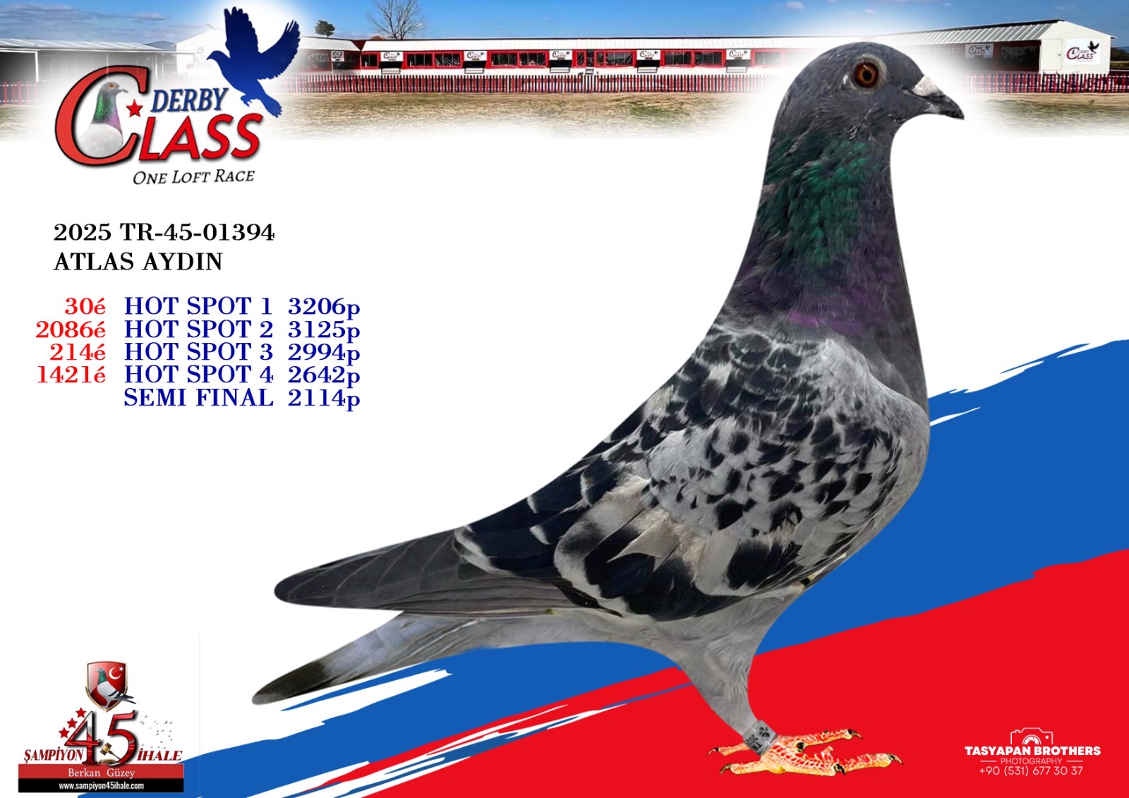 TR-45-01394 ATLAS AYDIN