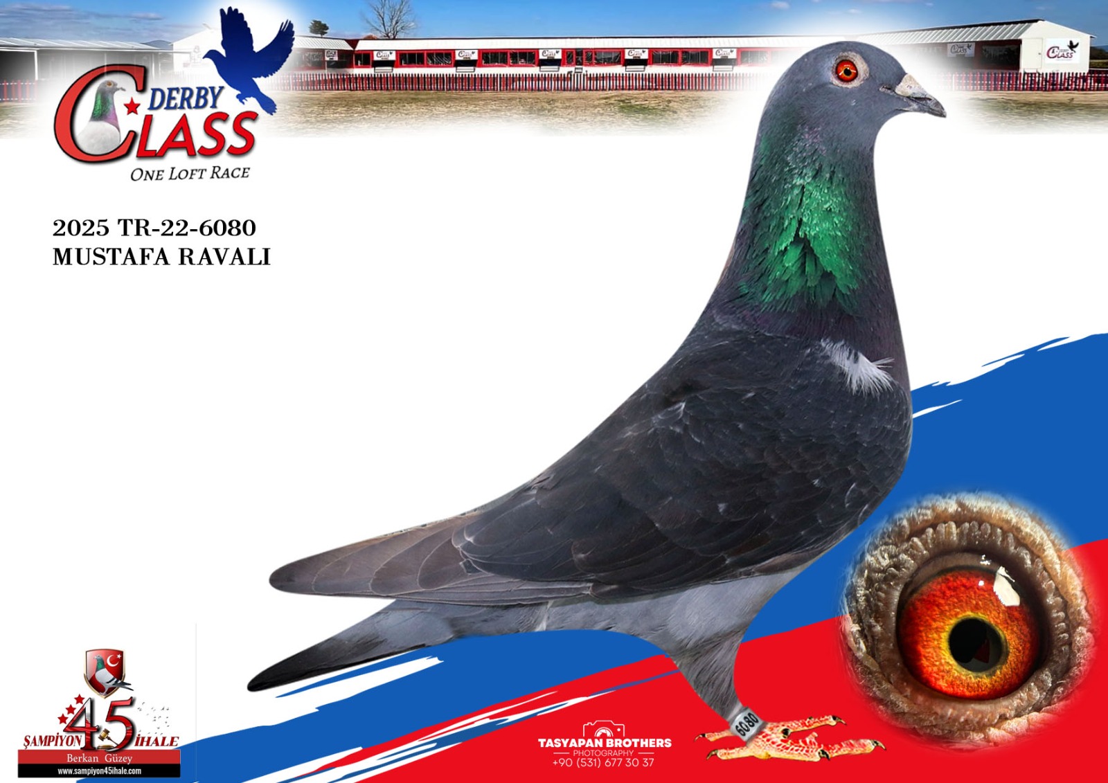 TR-22-6080 MUSTAFA RAVALI