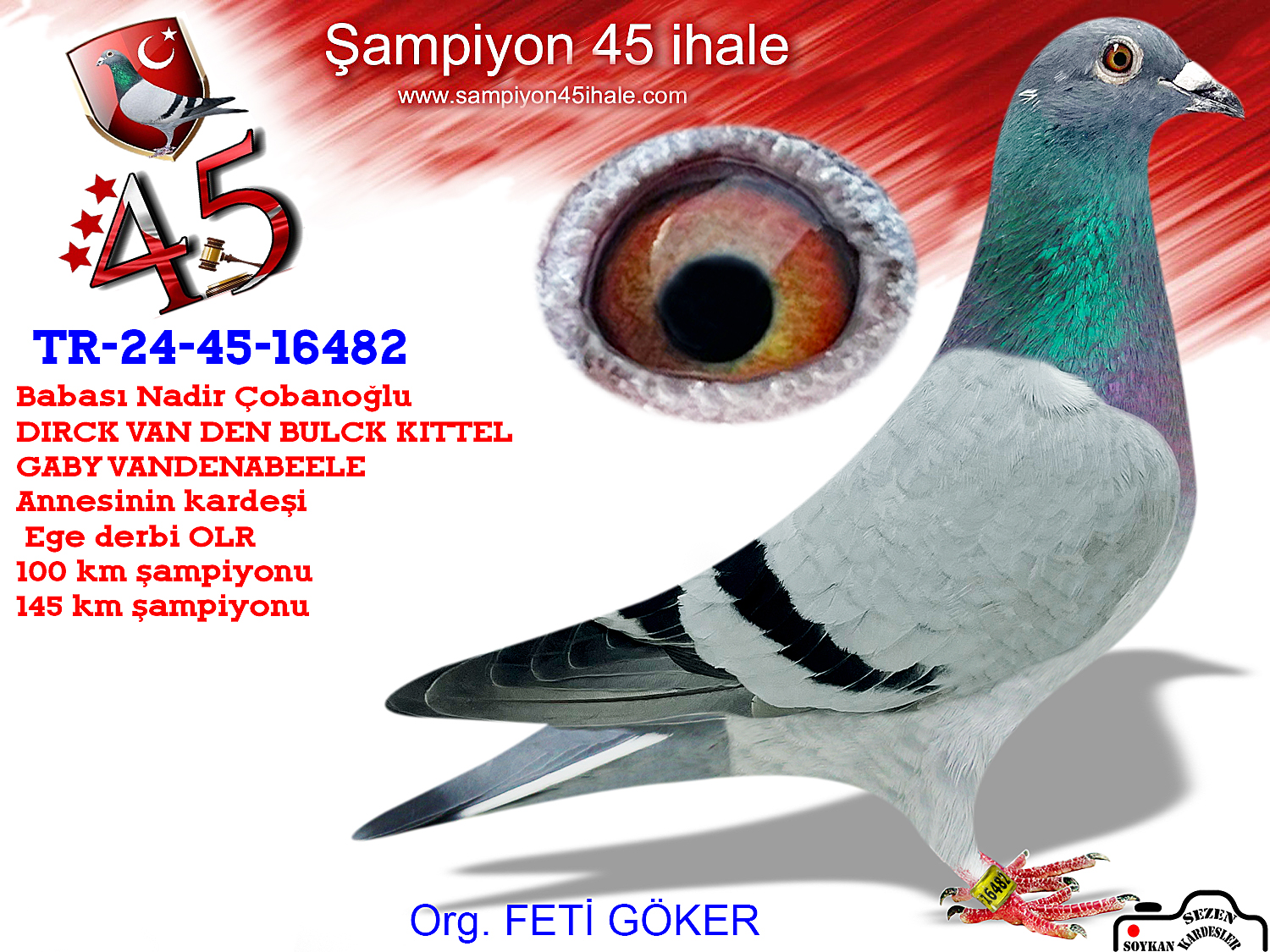 TR-24-45-16482 DİŞİ