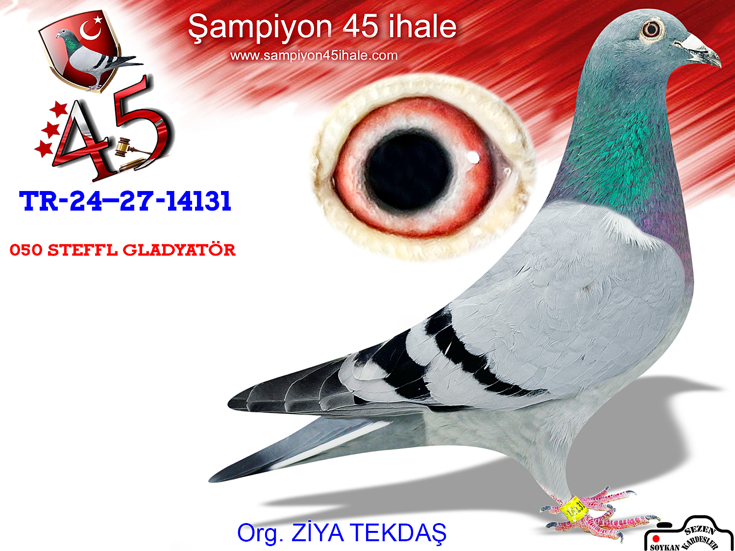 TR-24-27-14131 ERKEK 