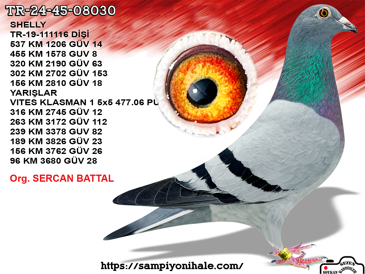 TR-24-45-08030 SHELLY FİGO 