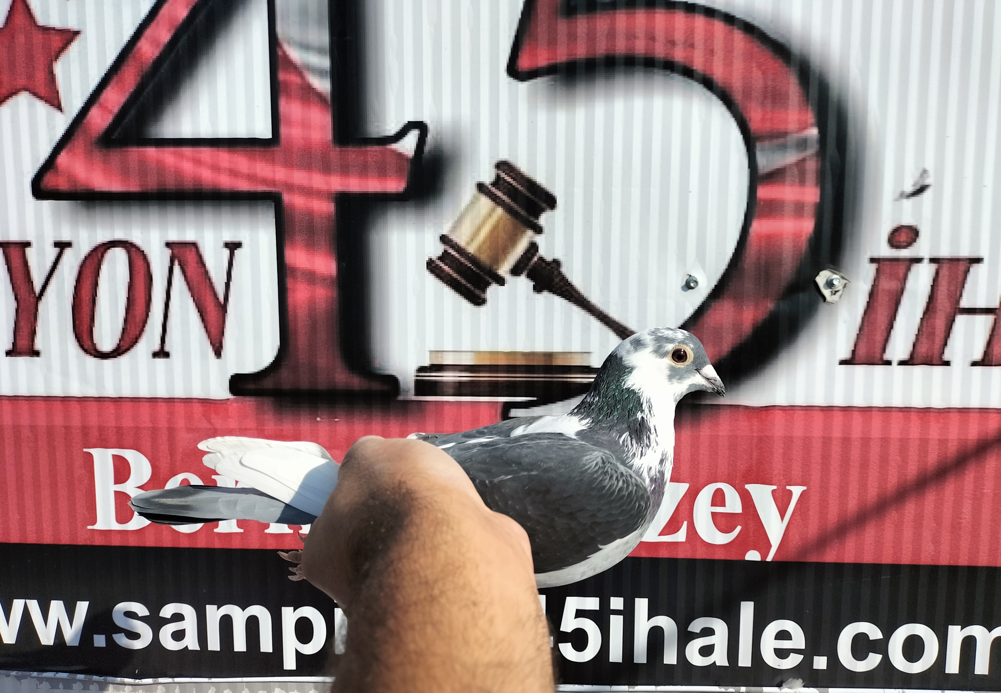 TR-24-45-01242 ORG NECO YILDIZ 