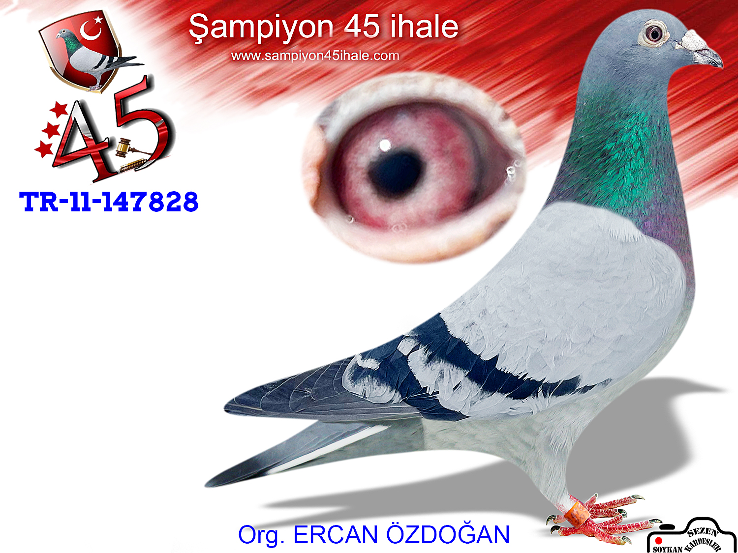 TR-11-147828 DİŞİ