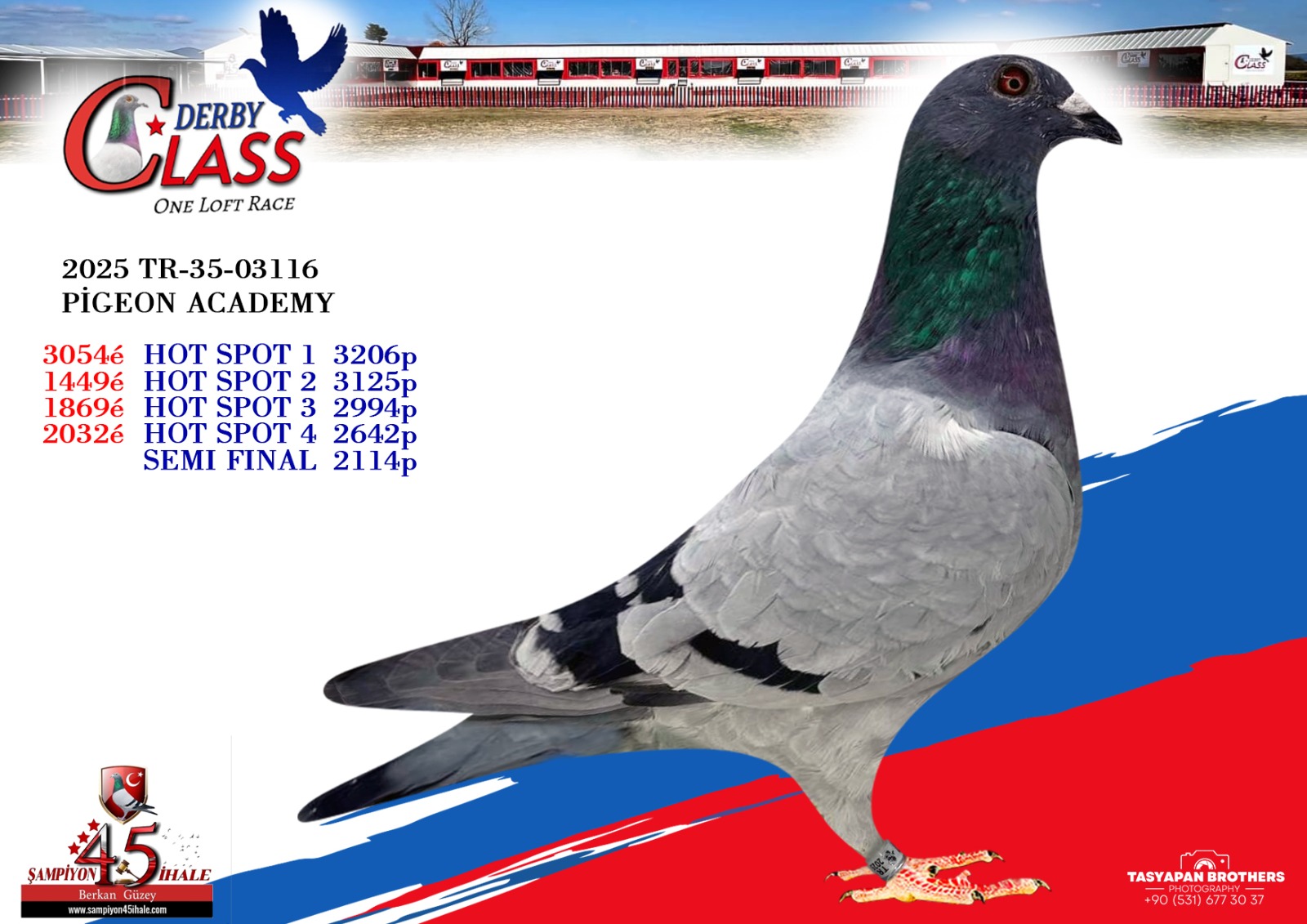 TR-35-03116 PİGEON ACADEMY