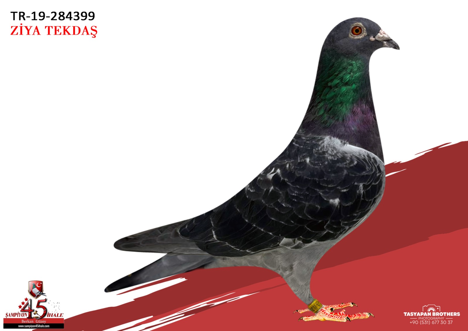 TR-19-284399 KOOPMAN VAN LOON HOK M.REJİMEN