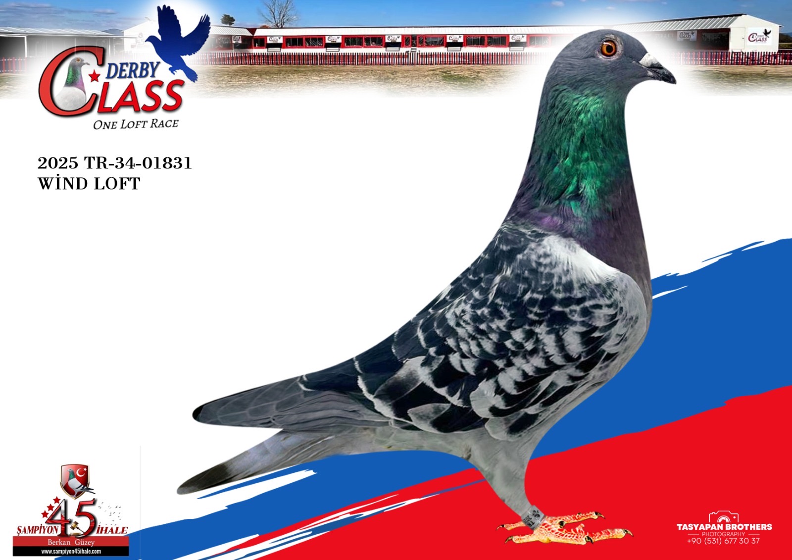 TR-34-01831 WİNTD LOFT