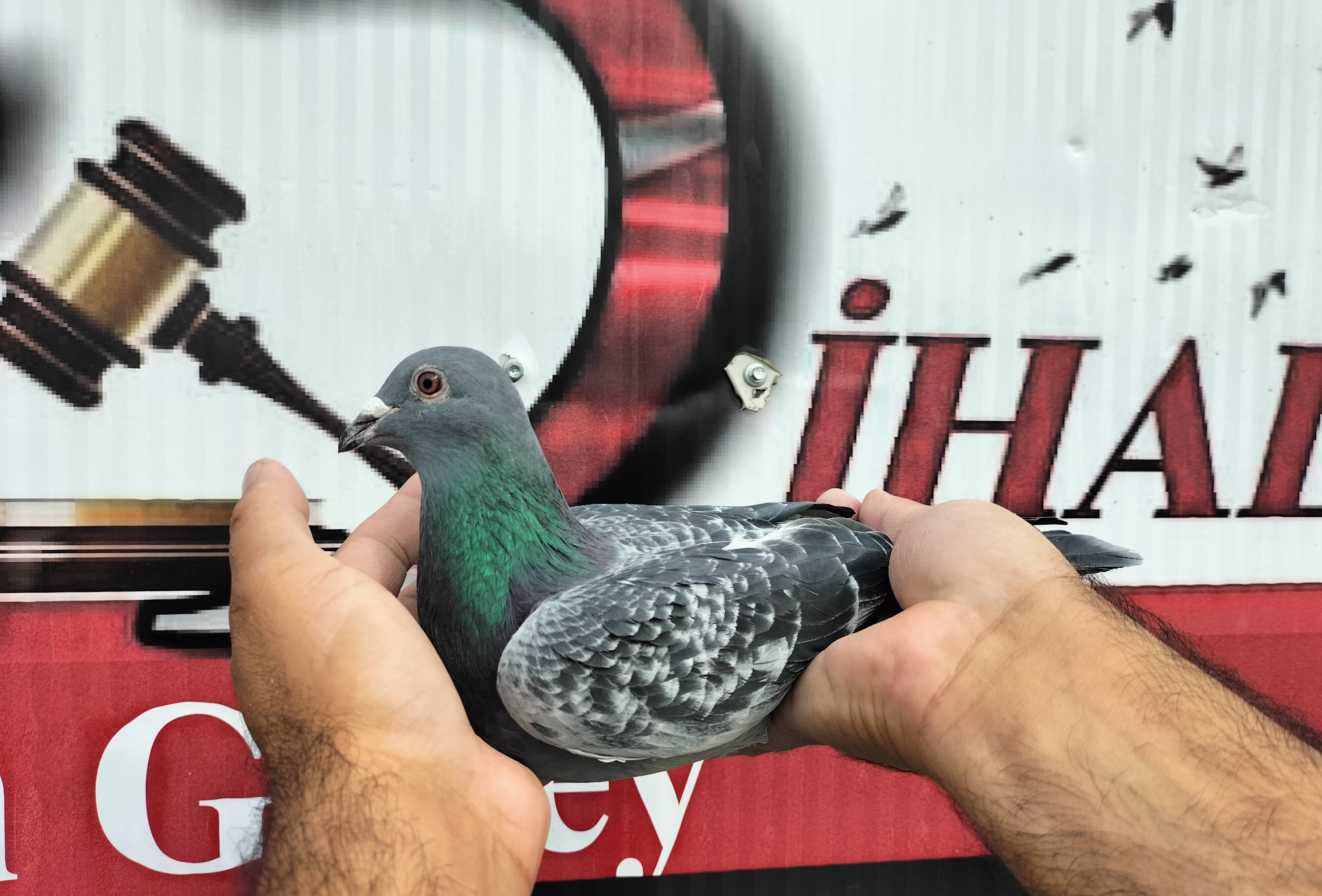 TR-25-16-20360 DONANMA MESSİ JOS THONE 