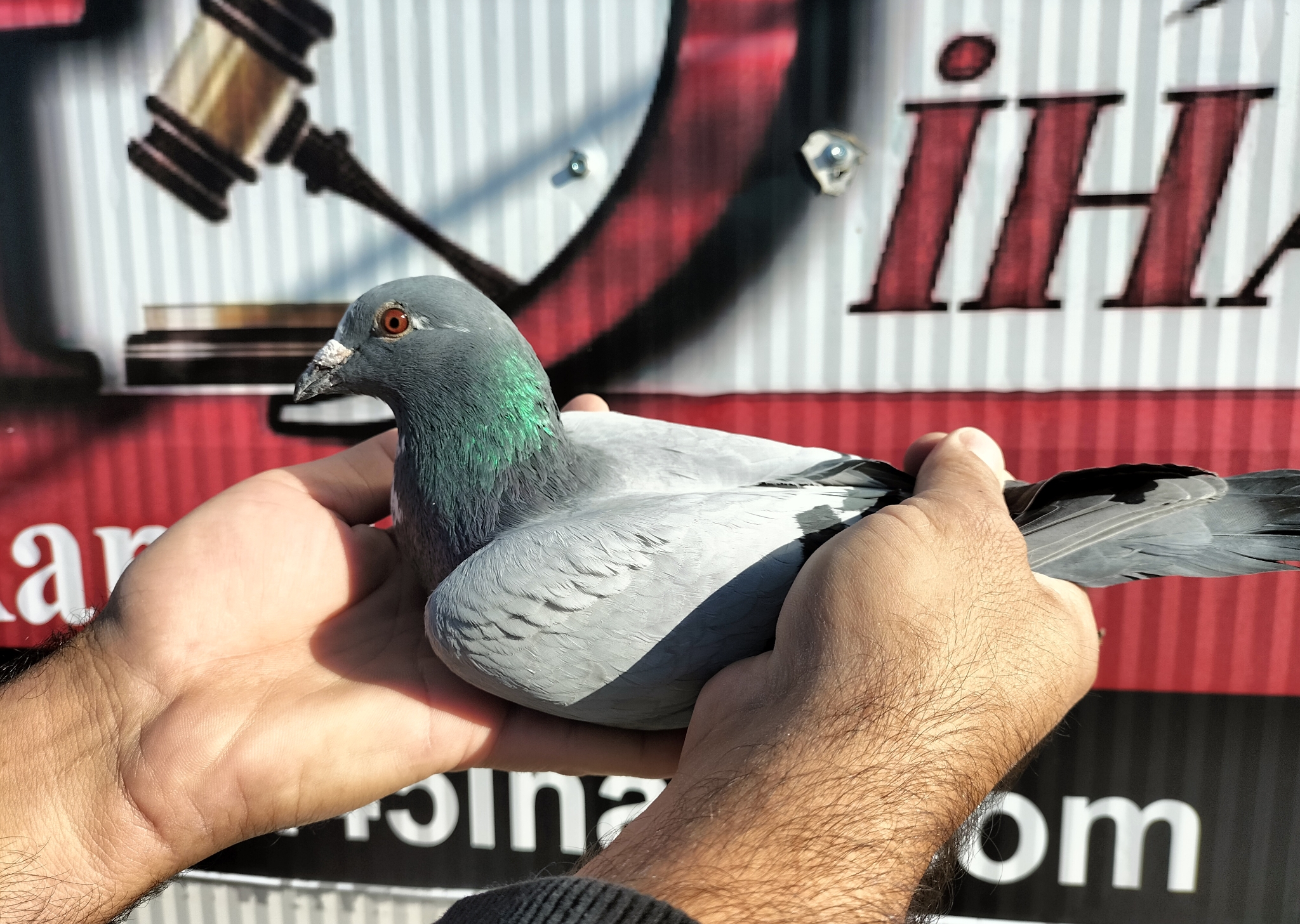 TR-25-21-05497 VAN DEN BULCK KİTTEL JOS SOONTJENS 